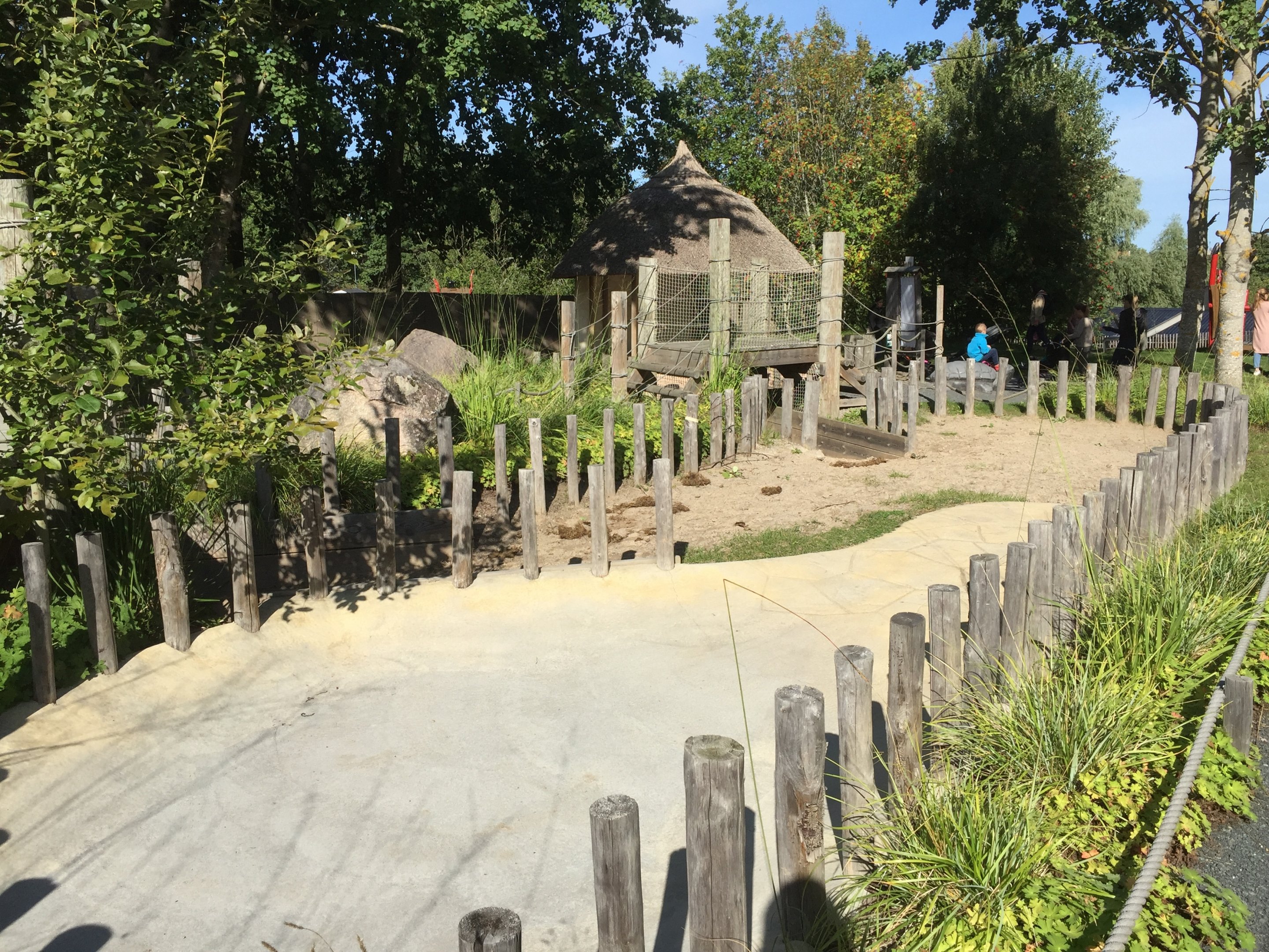 Aldabra giant tortoise exhibit.