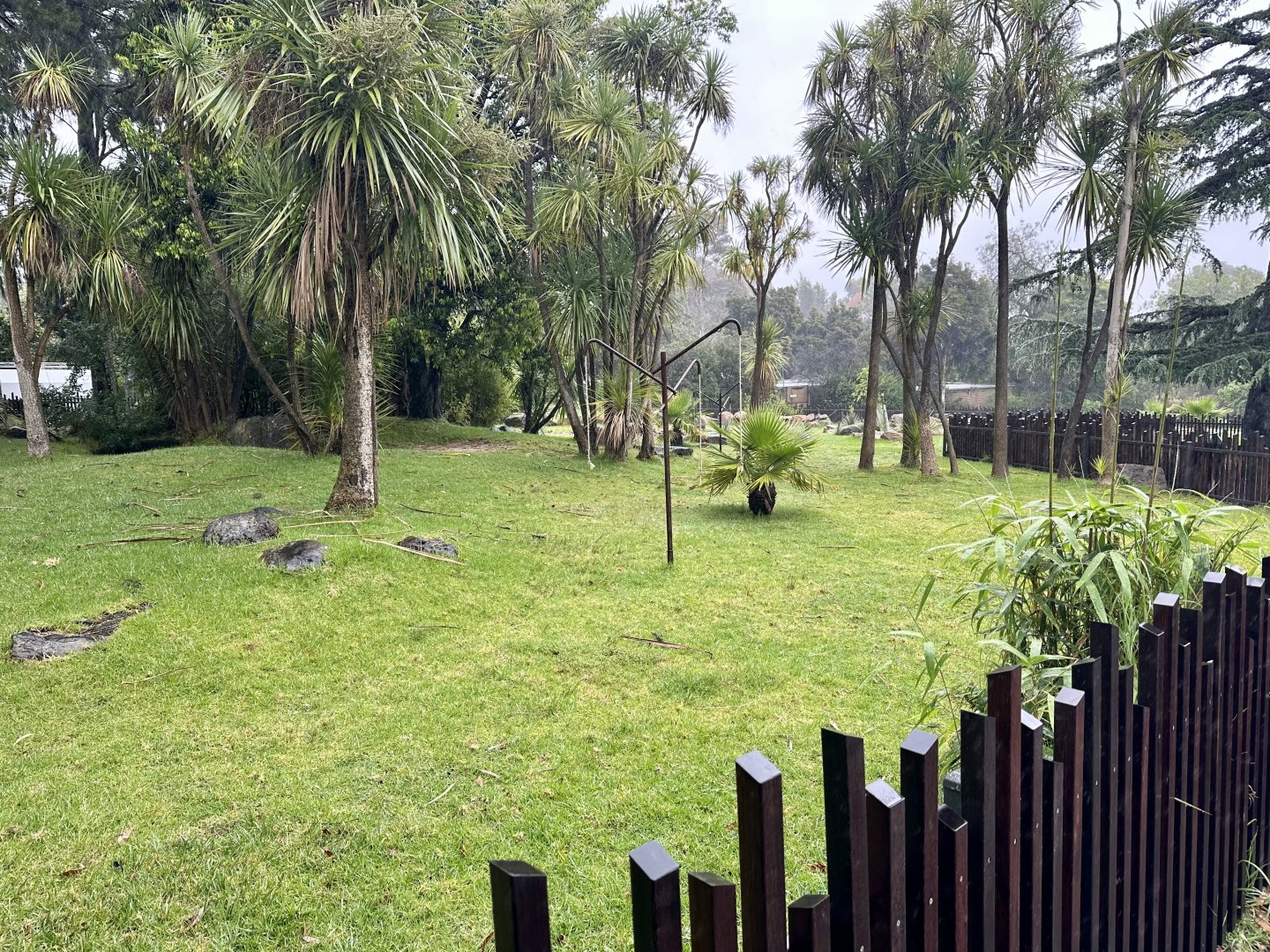 Aldabra Giant Tortoise Exhibit