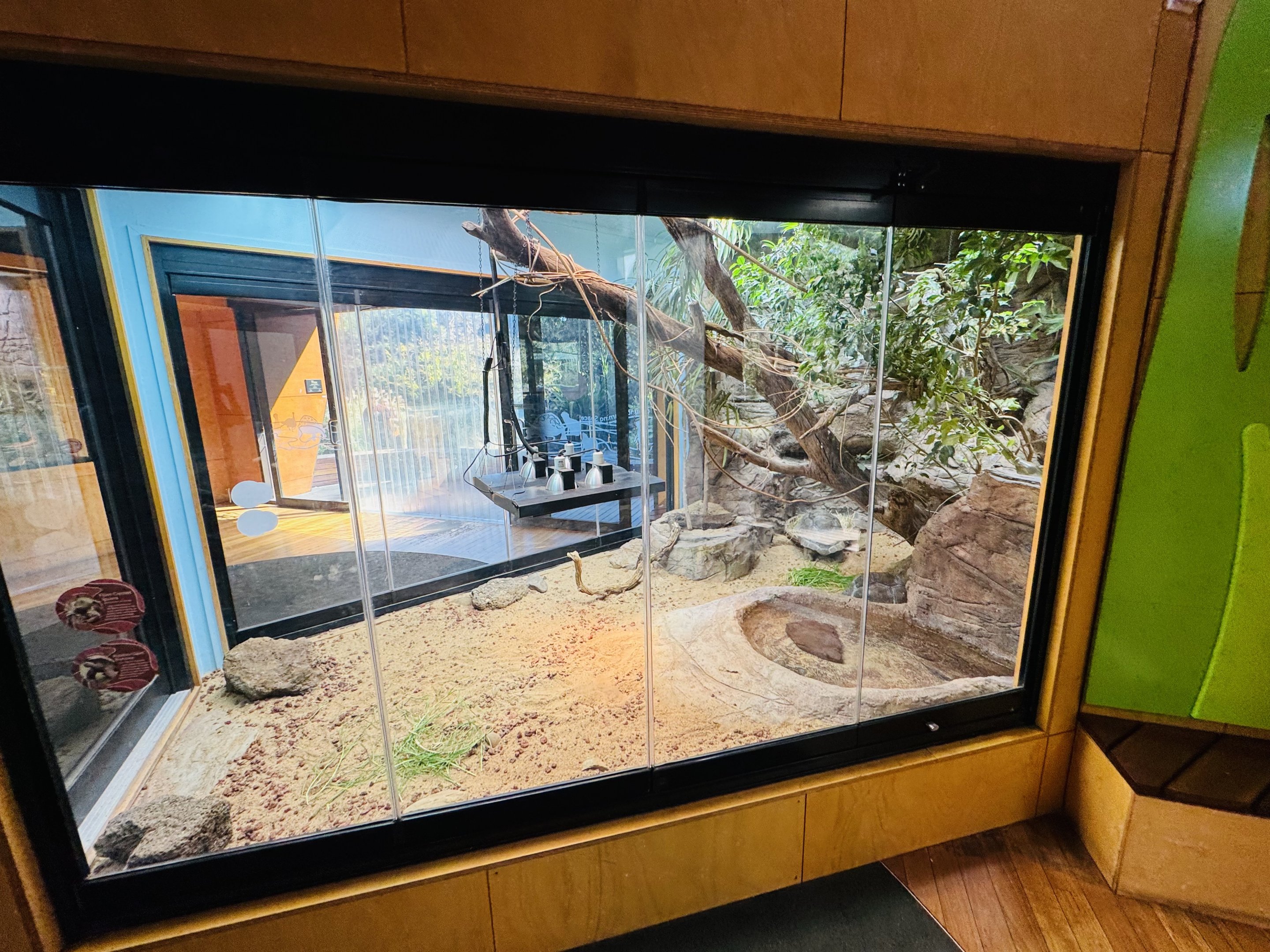 Aldabra Giant Tortoise/Fijian Crested Iguana enclosure