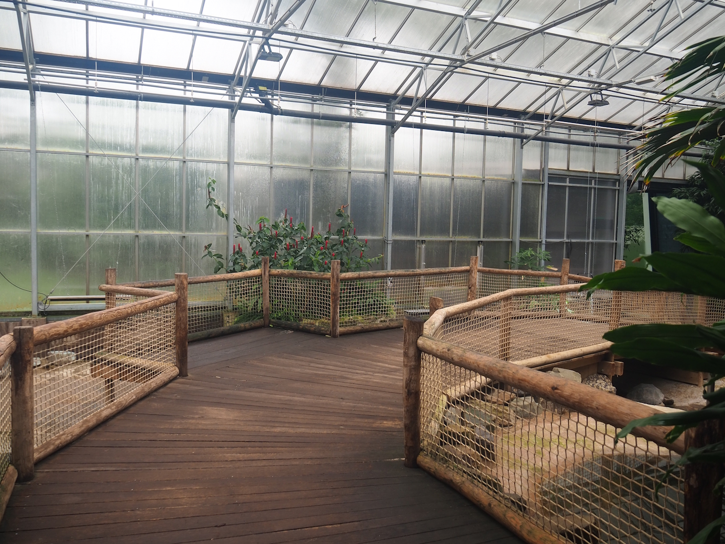 Aldabra giant tortoise house, 2023-08-17