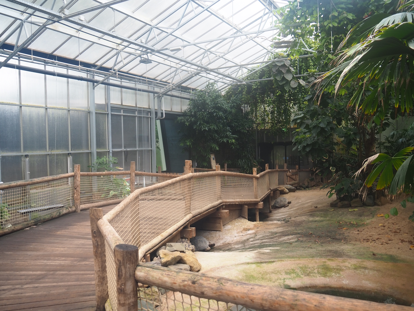 Aldabra giant tortoise house, 2023-08-17