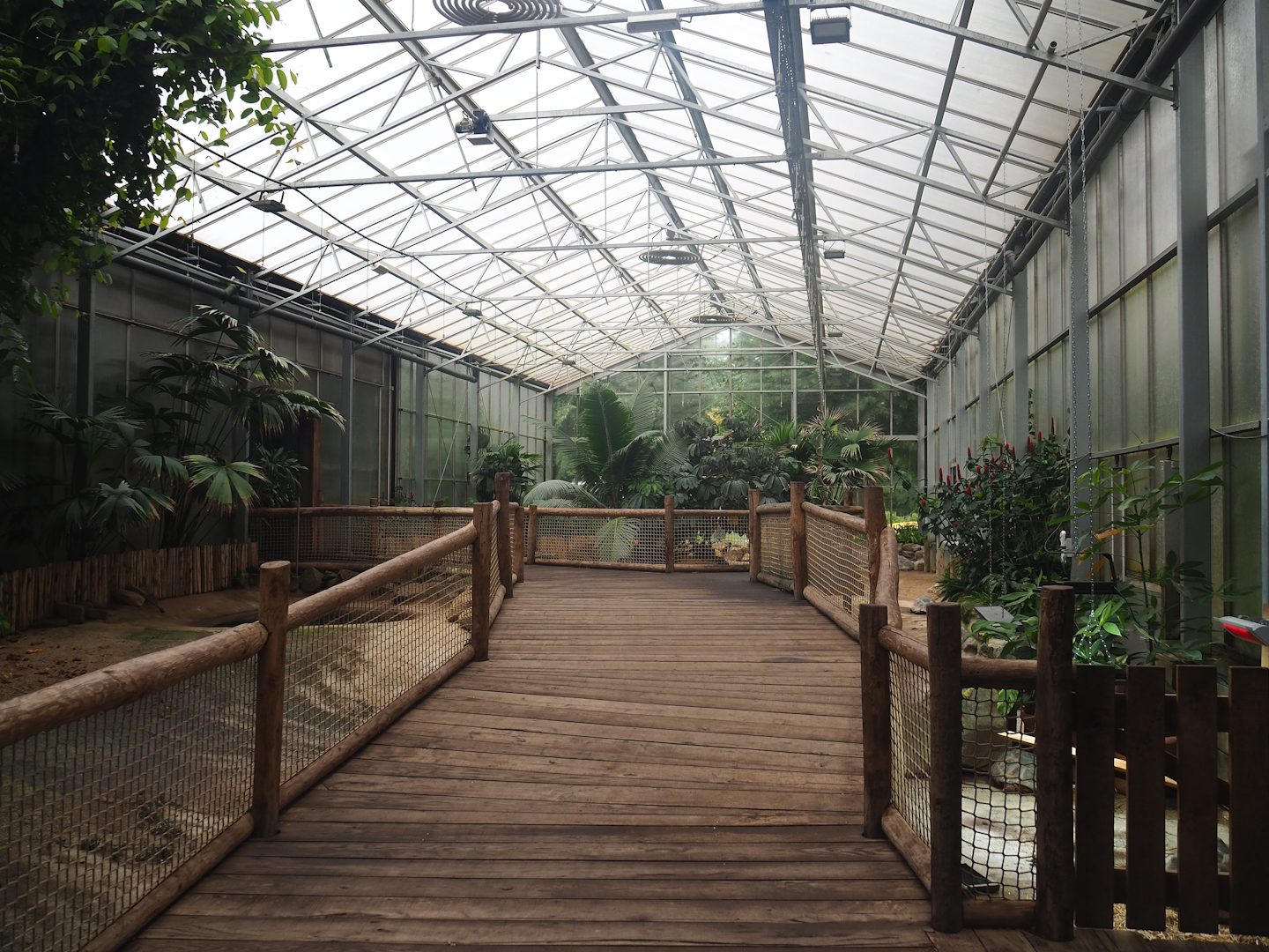 Aldabra giant tortoise house, 2023-08-17