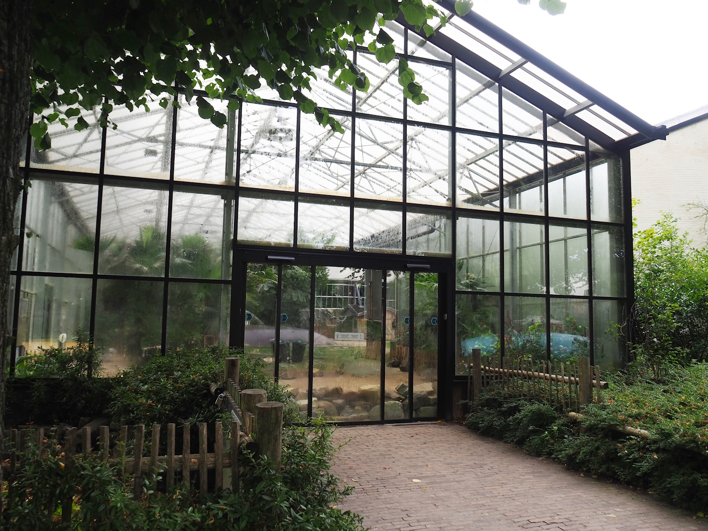 Aldabra giant tortoise house, 2023-08-17