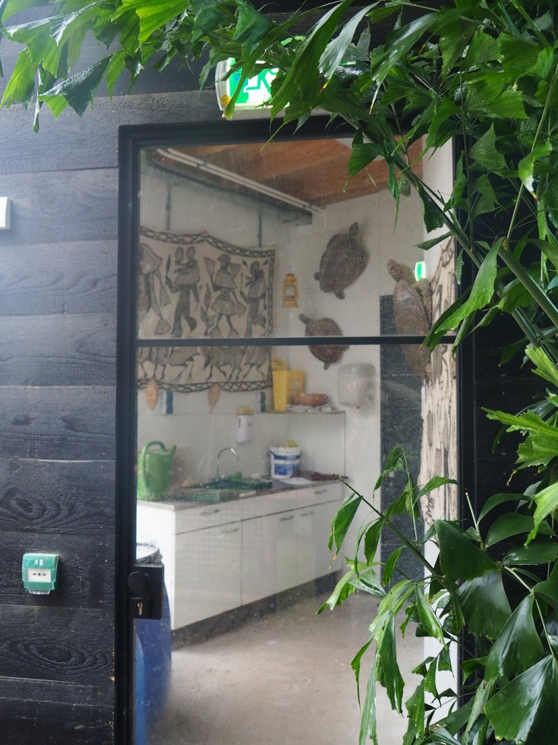 Aldabra giant tortoise house kitchen, 2023-08-17