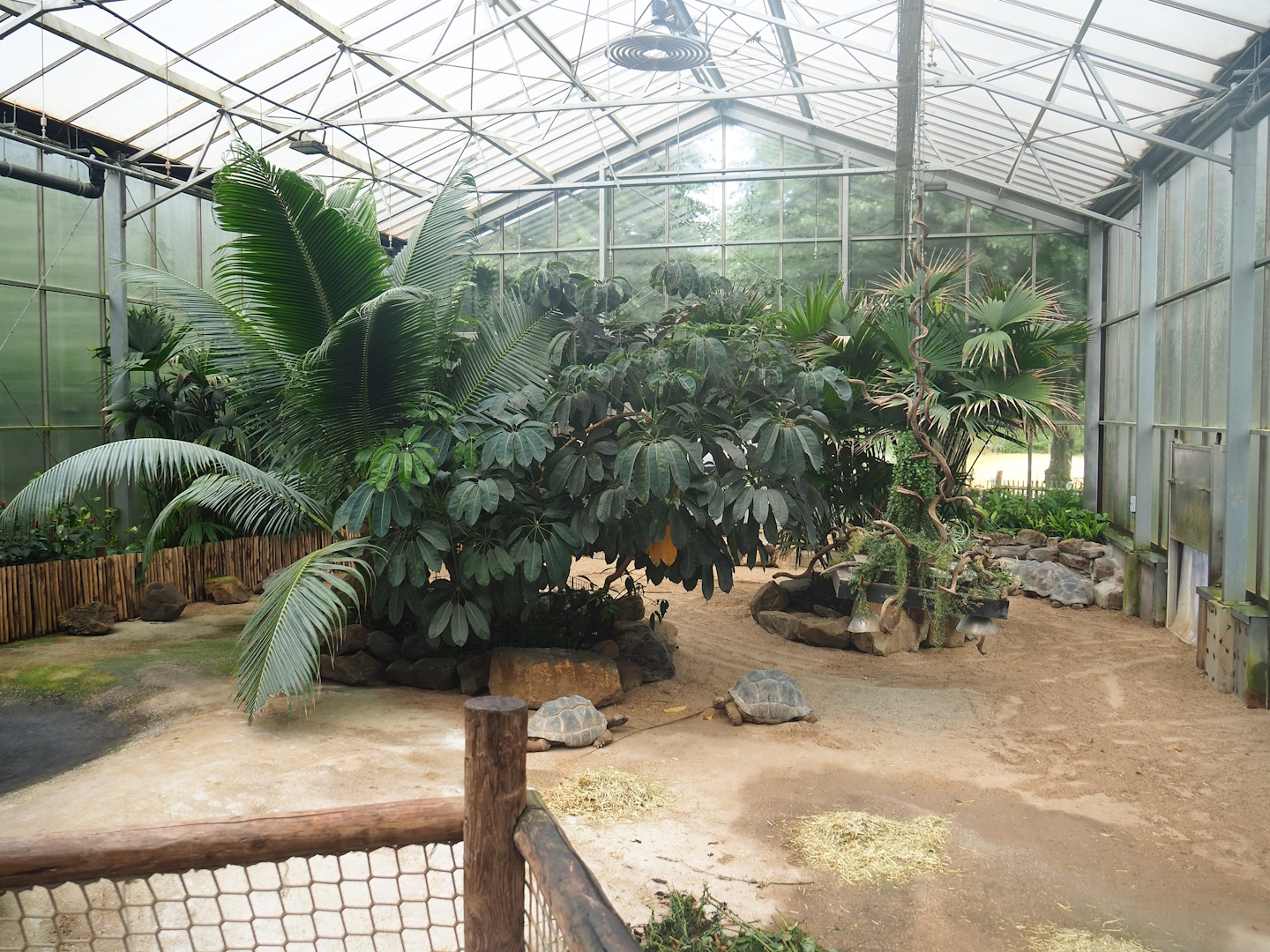 Aldabra giant tortoise house - Main exhibit for the largest tortoises, 2023-08-17