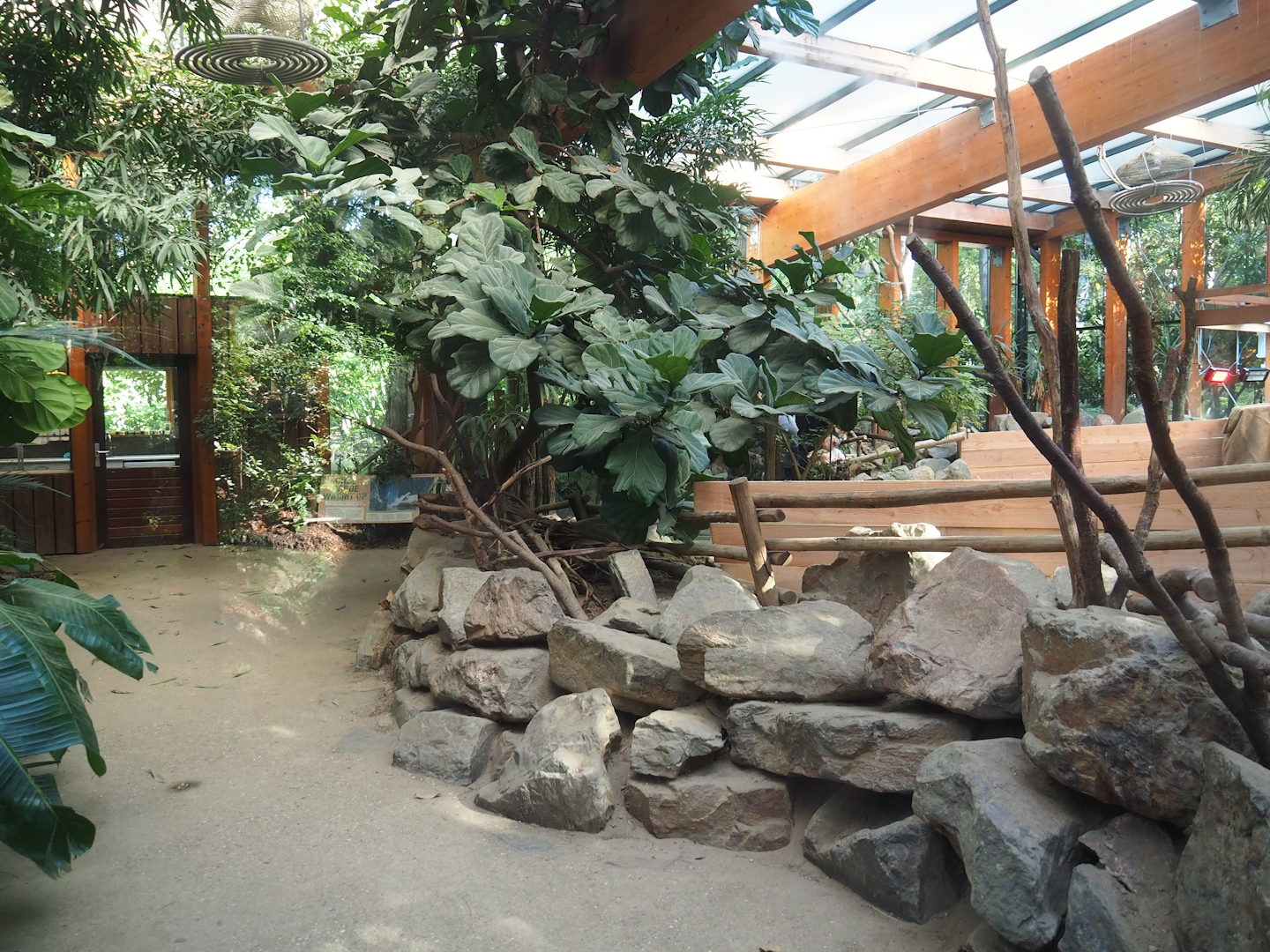 Aldabra giant tortoise house visitor area, 2023-09-24