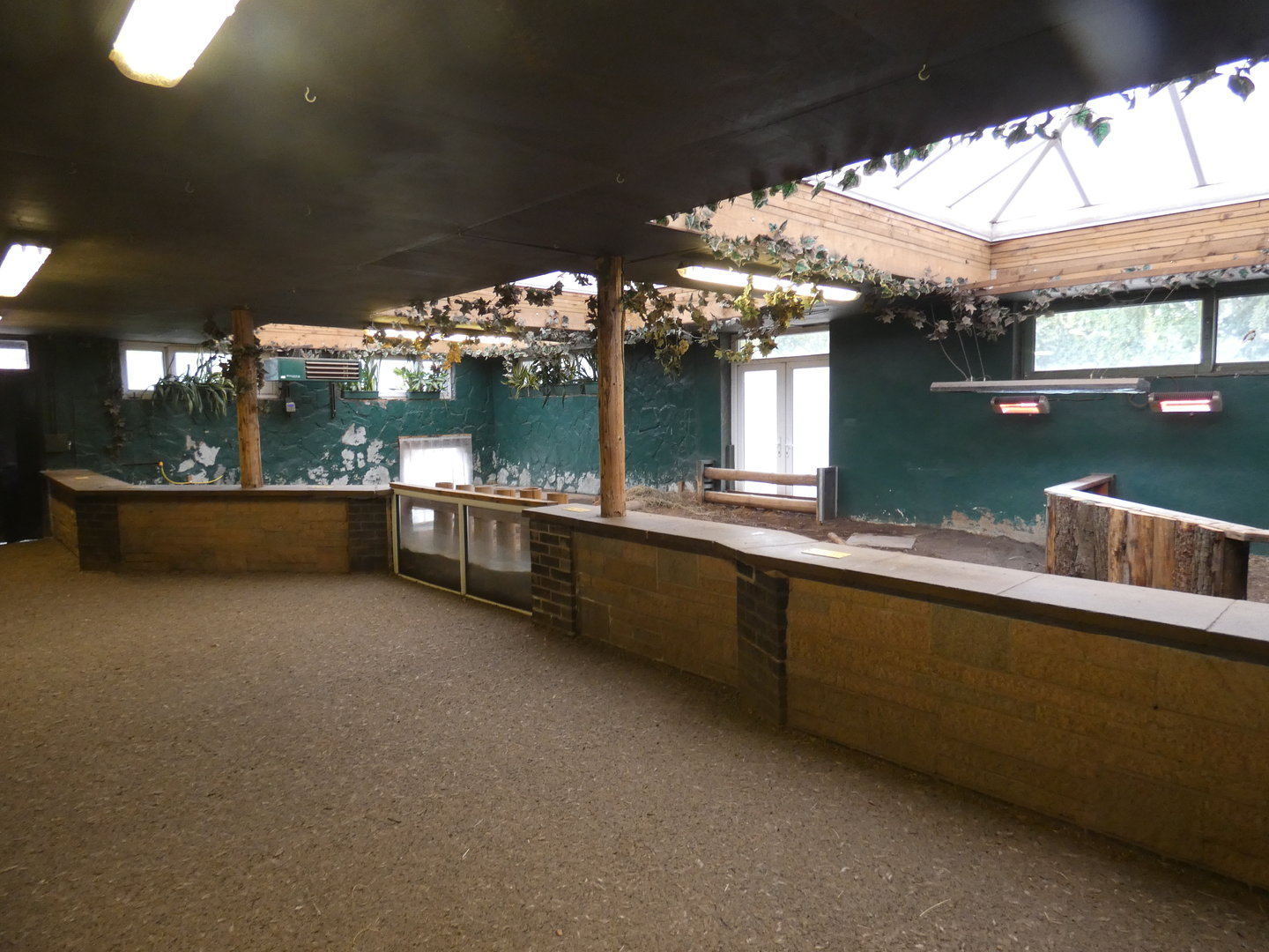 Aldabra giant tortoise indoor enclosure viewing area