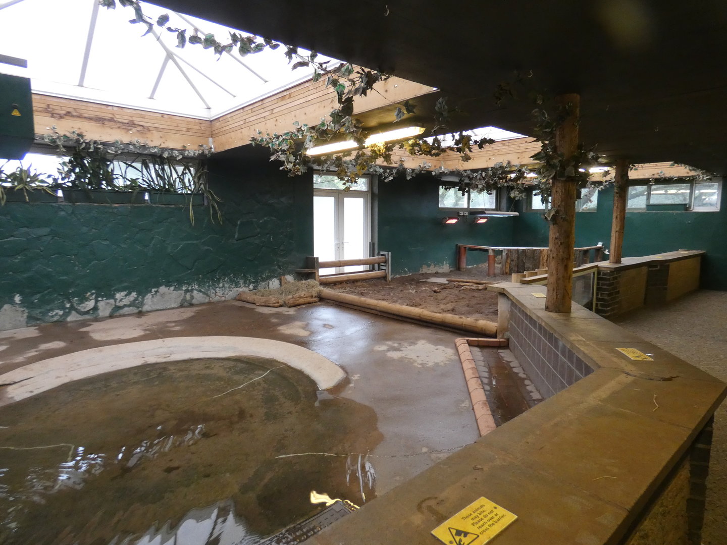 Aldabra giant tortoise indoor enclosure