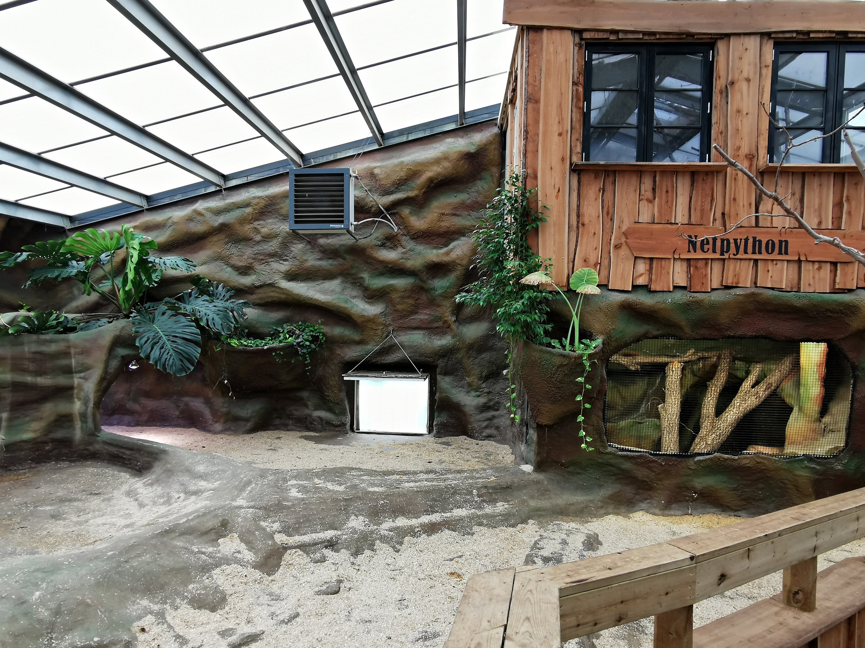 Aldabra giant tortoise indoors - Masaguaral hall