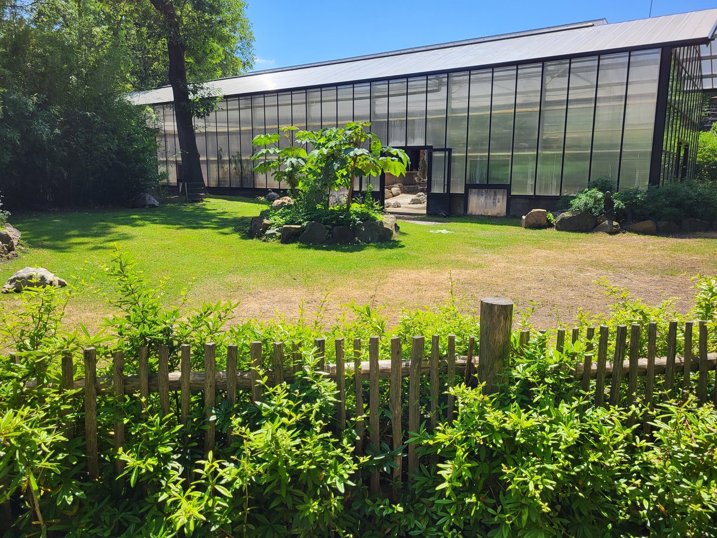 Aldabra giant tortoise outdoor-enclosure