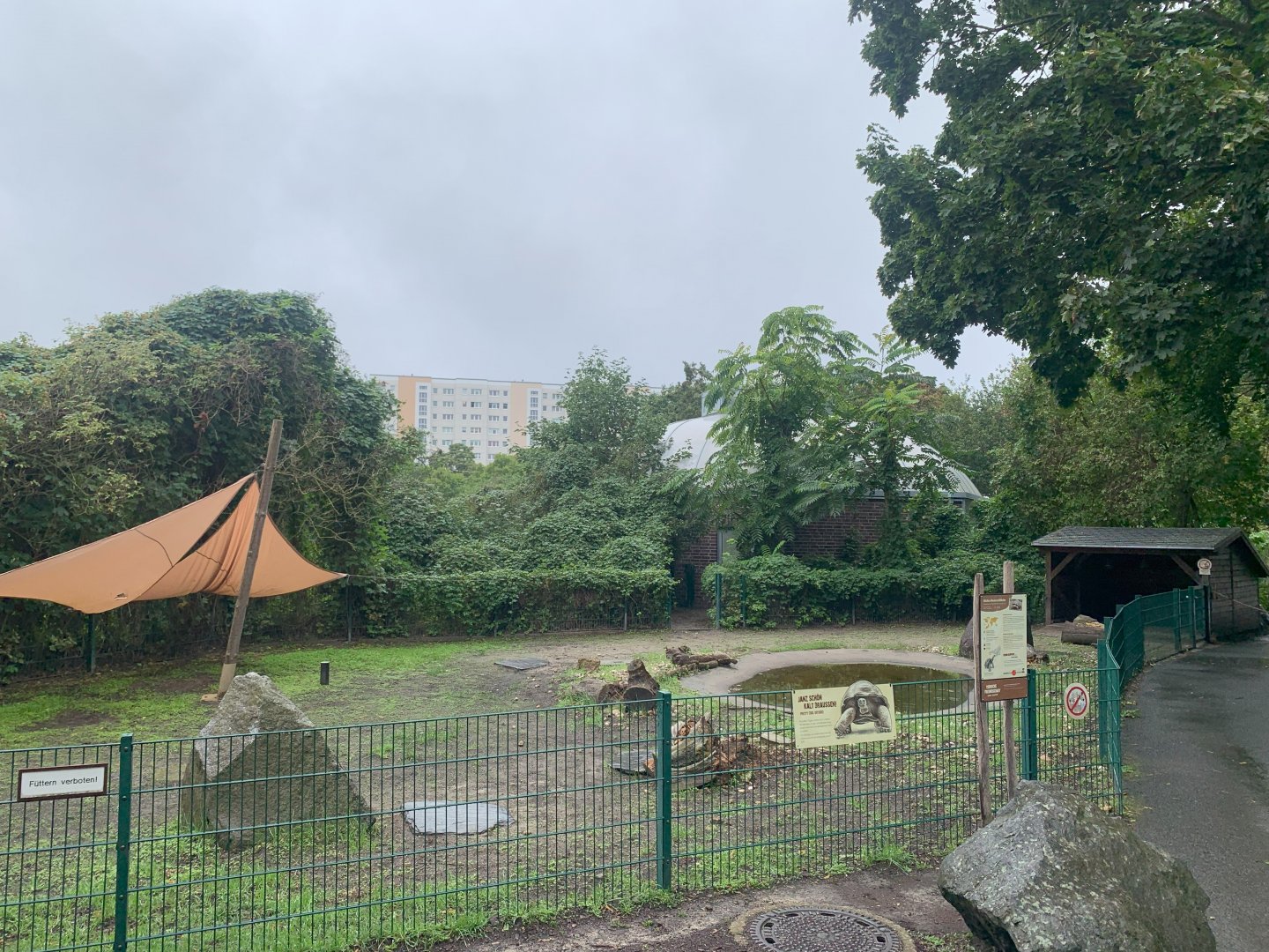 Aldabra Giant Tortoise outdoor enclosures