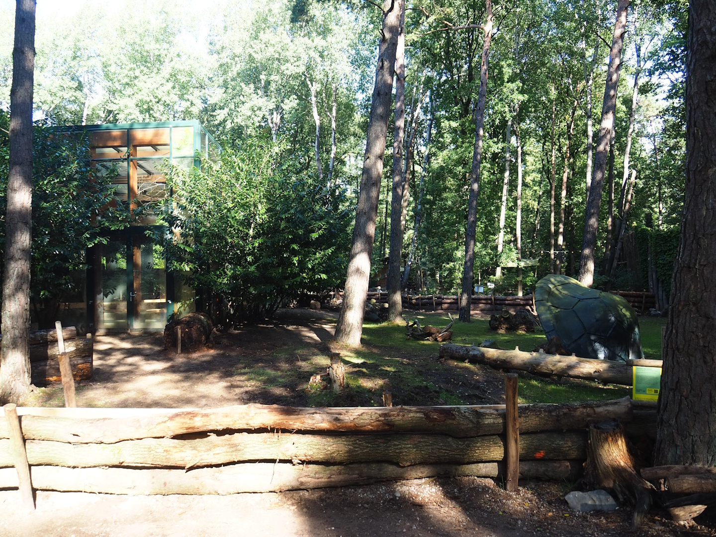 Aldabra giant tortoise outdoor paddock, 2023-09-24