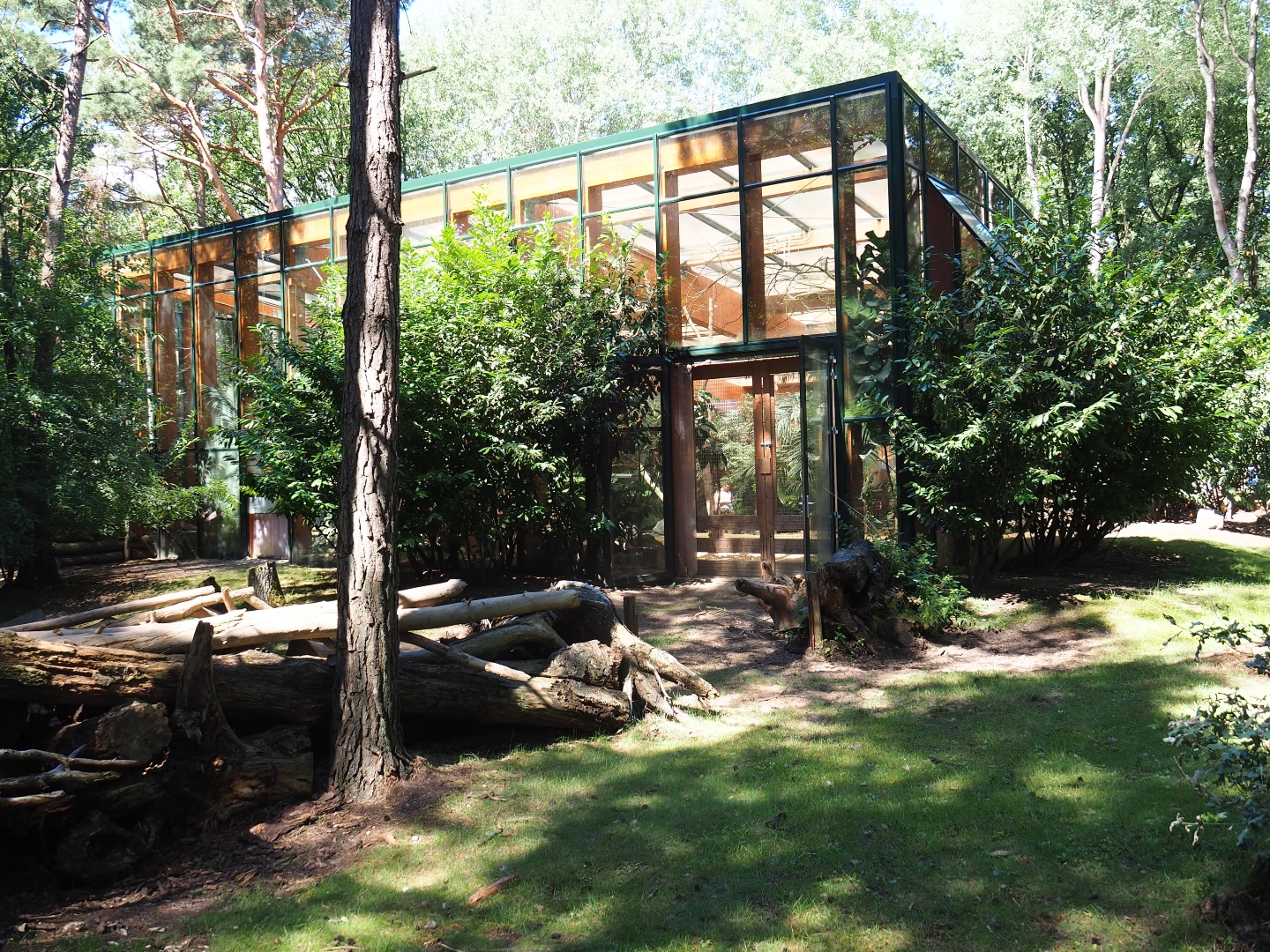 Aldabra giant tortoise outdoor paddock and house