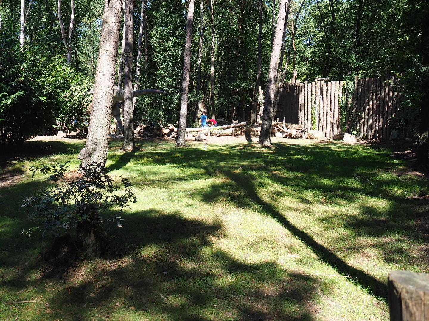 Aldabra giant tortoise outdoor paddock