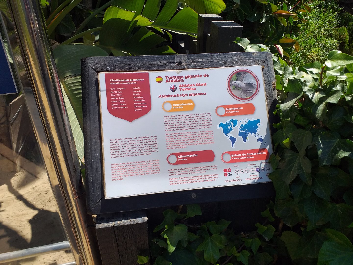 Aldabra giant tortoise sign -MundoMar Benidorm (2021)