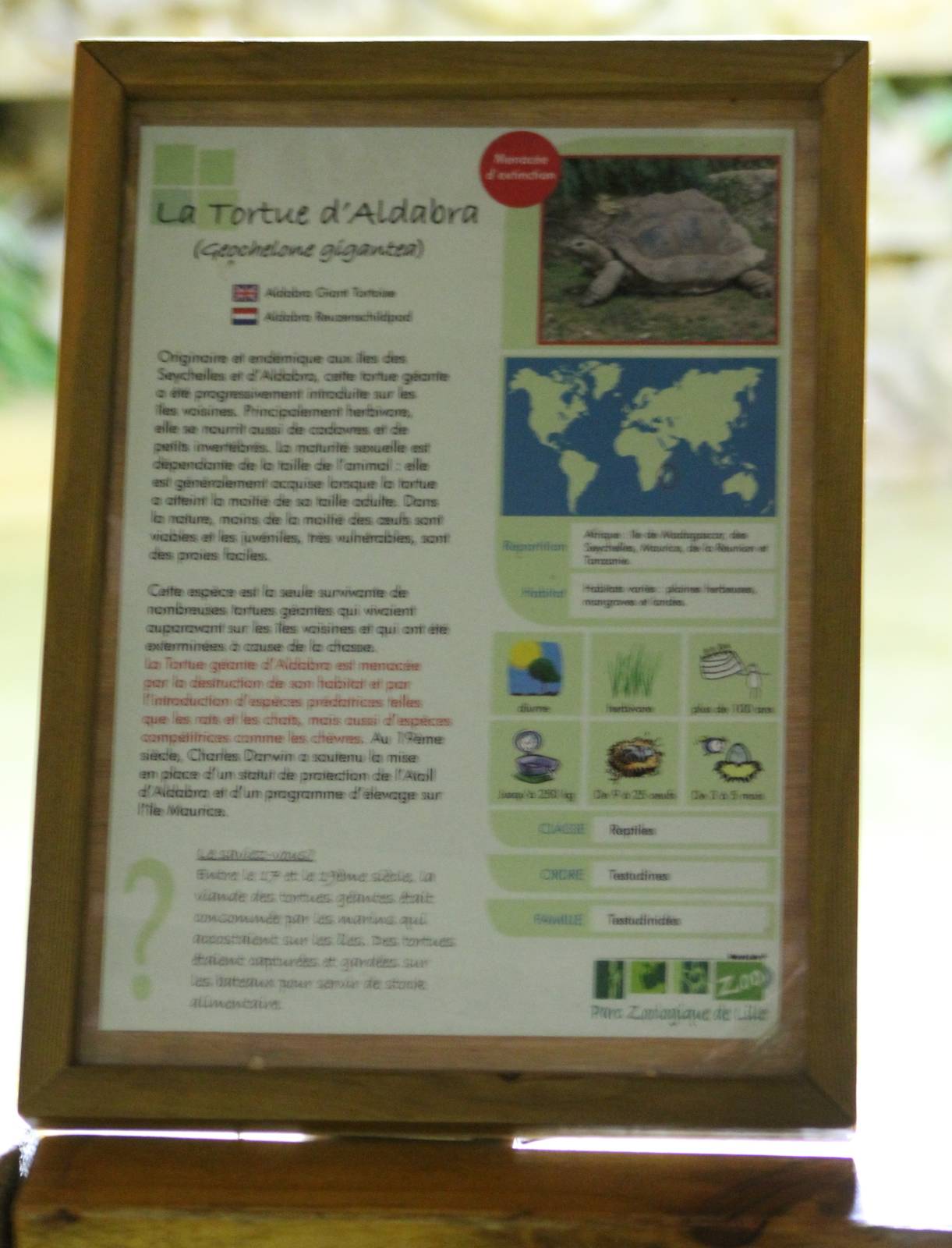 Aldabra giant tortoise sign
