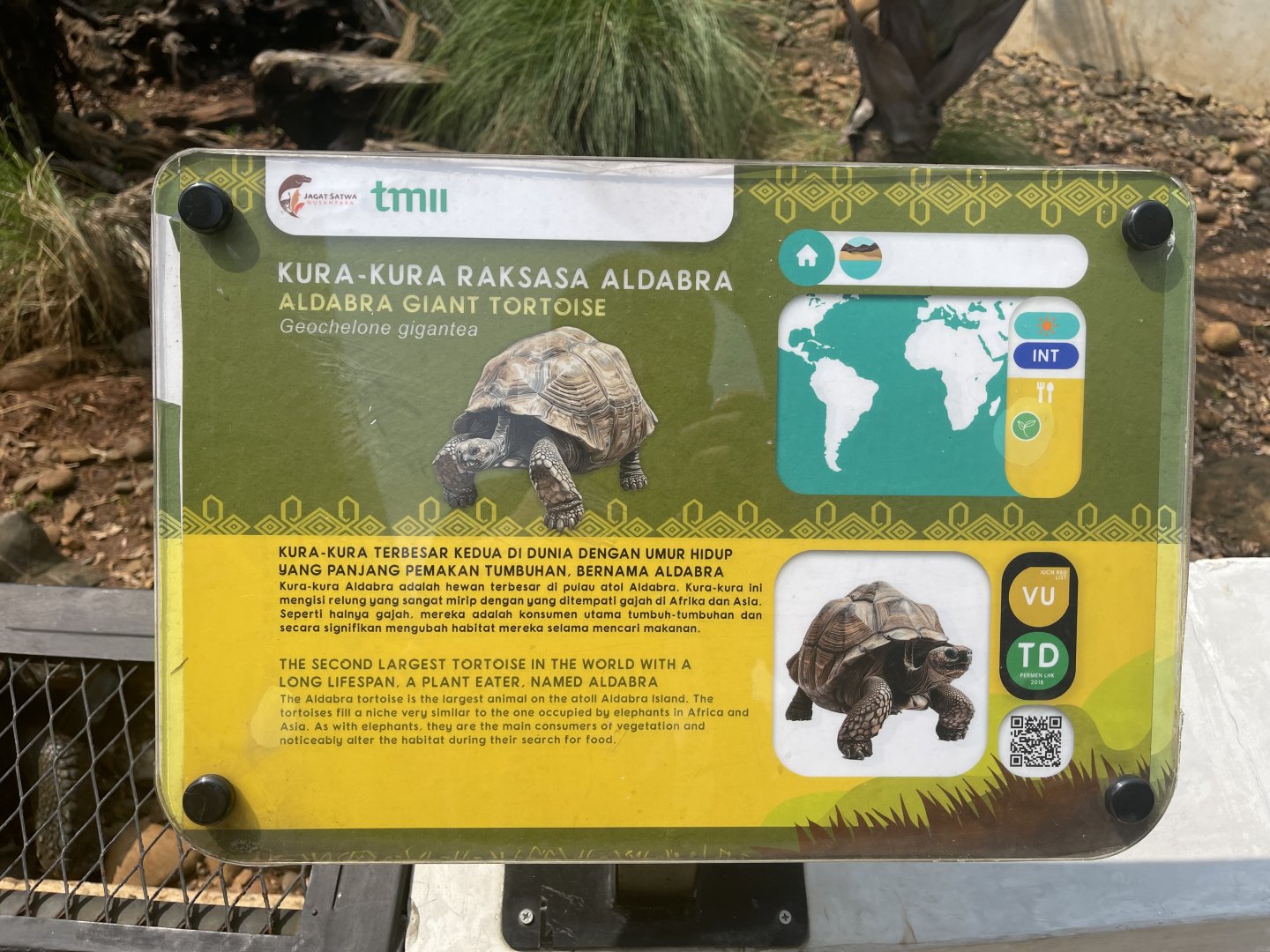 aldabra giant tortoise signage - museum komodo