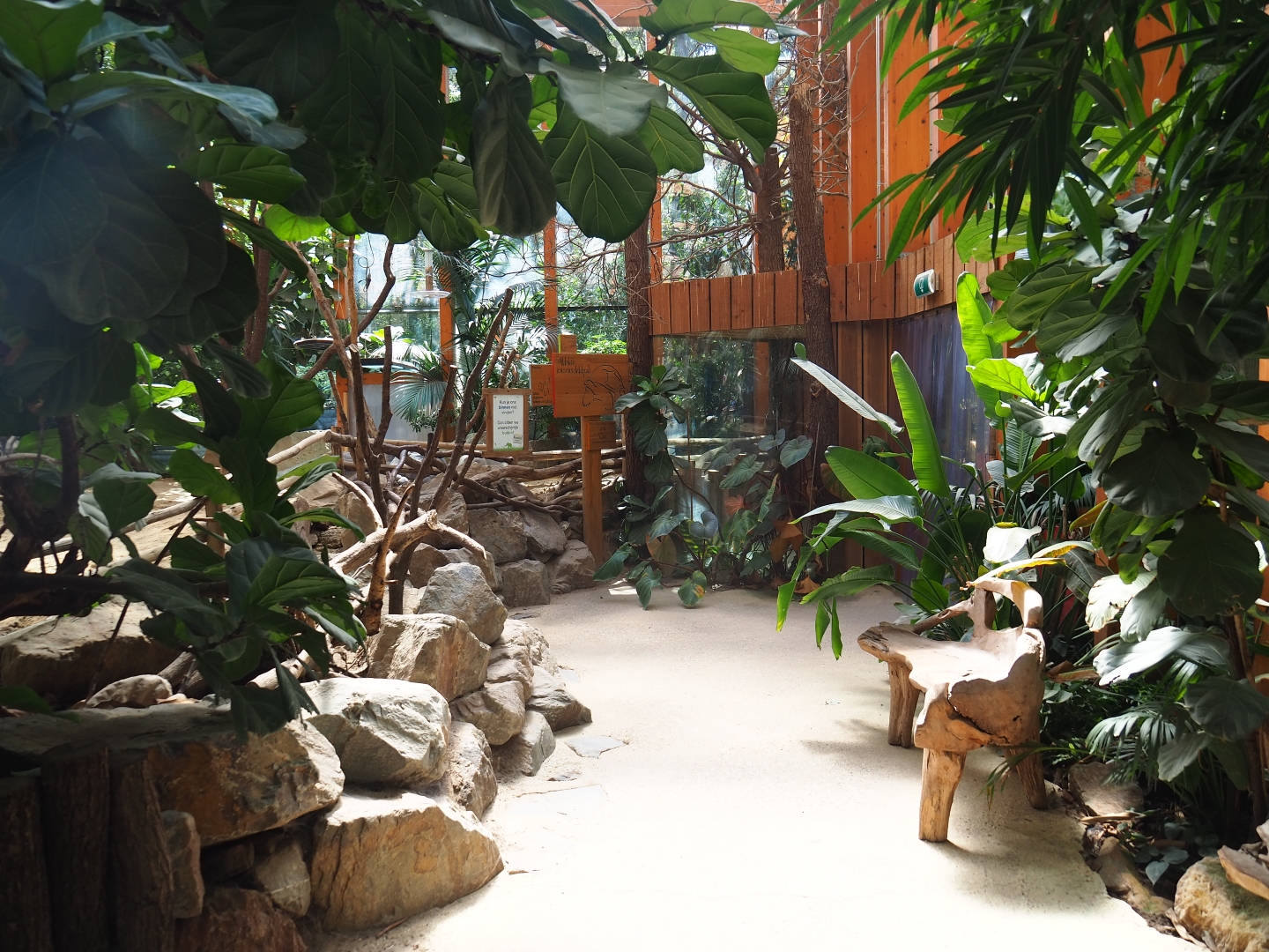 Aldabra giant tortoise viewing area