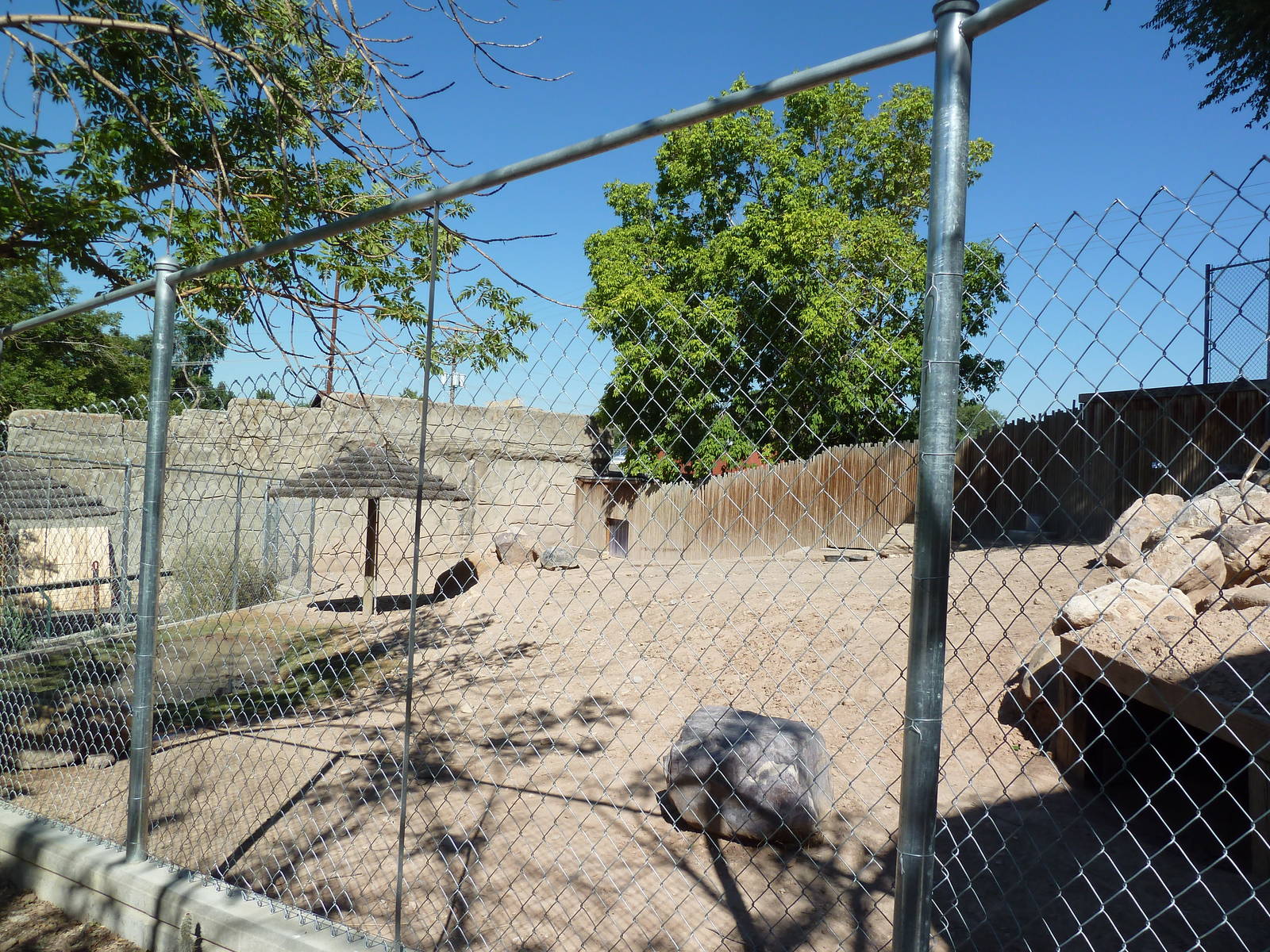 Aldabra + Leopard Tortoise Exhibit