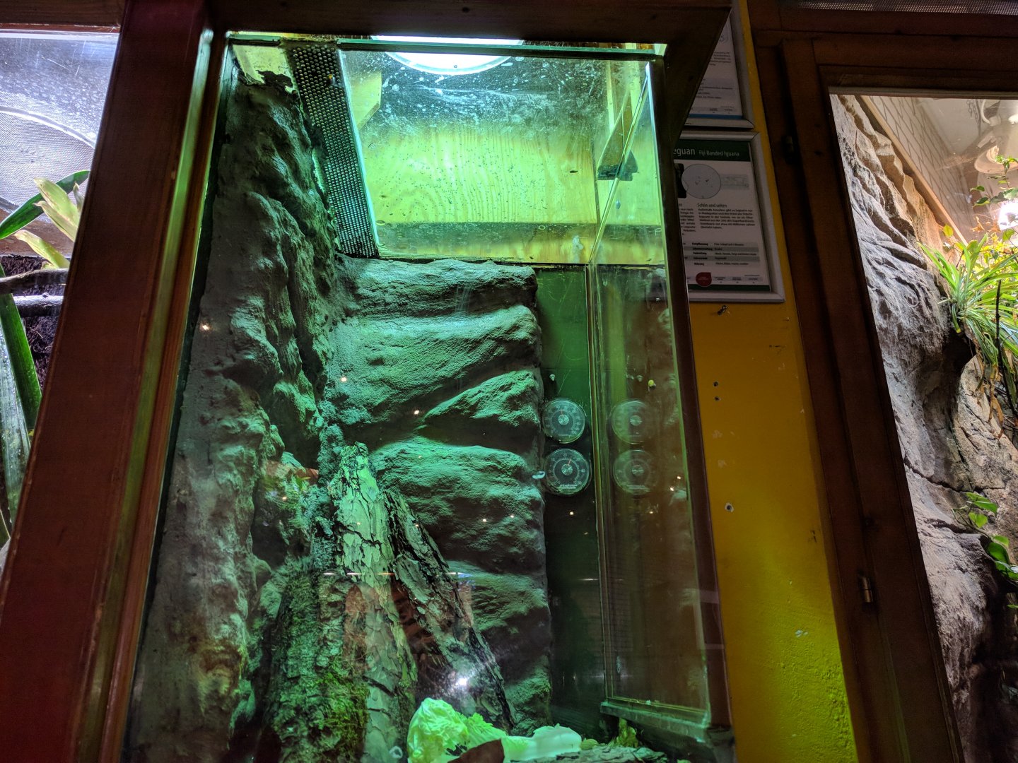 Aldabra Snail and Aldabra Millipede Habitat