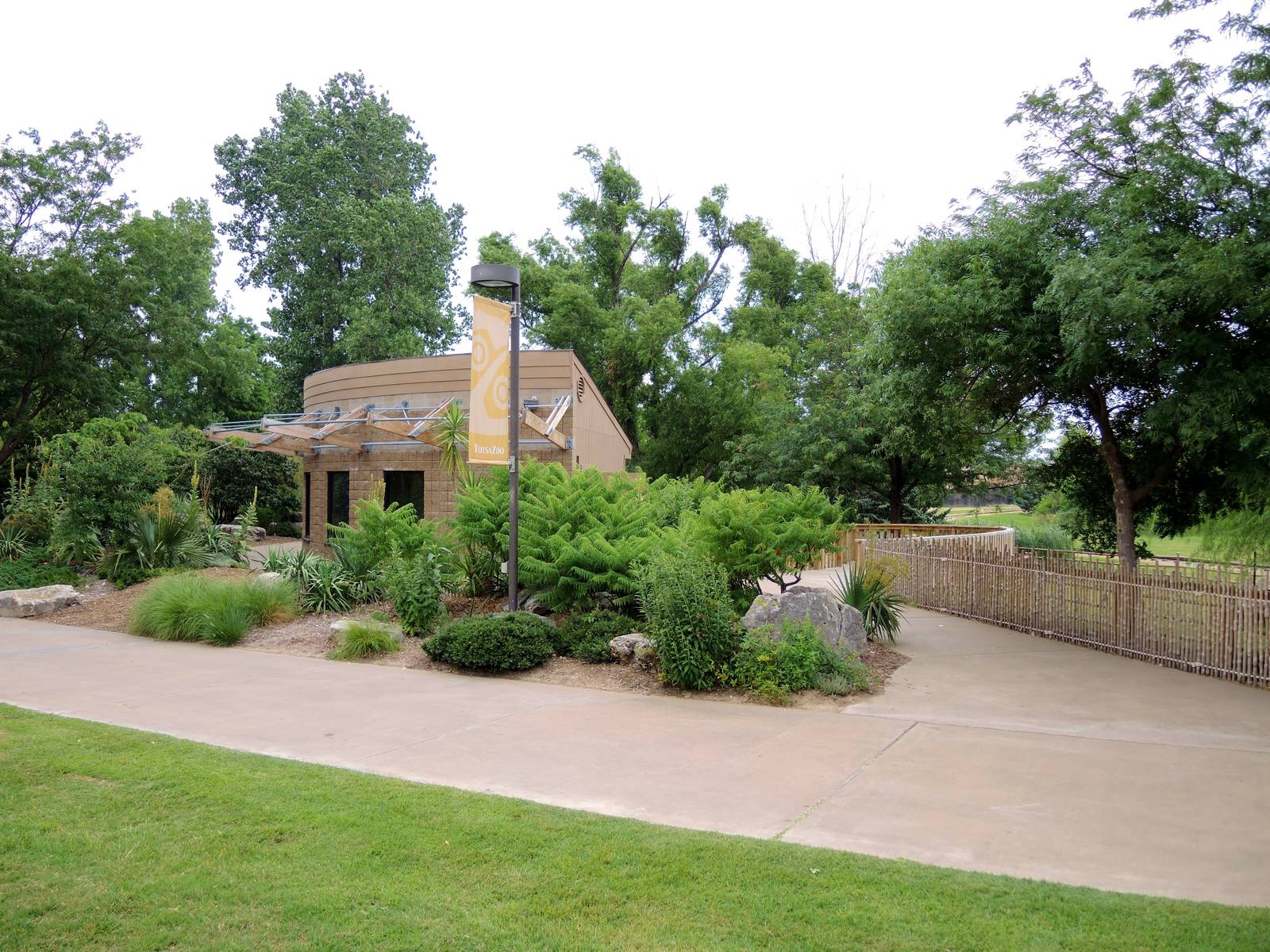 Aldabra Tortoise (Aldabrachelys gigantea) Exhibit