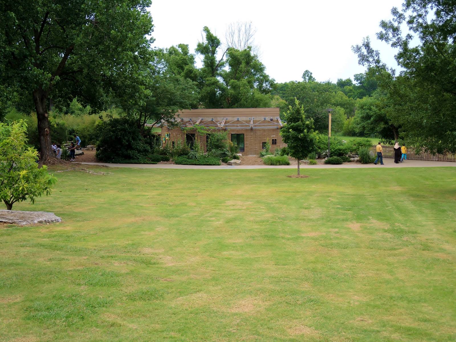 Aldabra Tortoise (Aldabrachelys gigantea) Exhibit