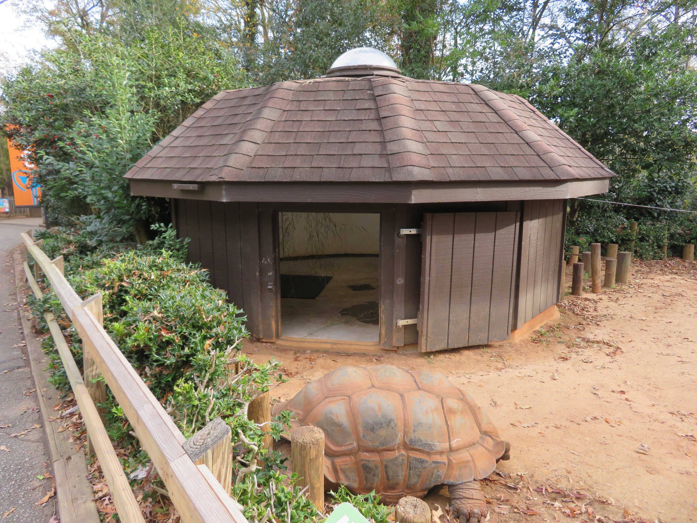 Aldabra Tortoise and Hut