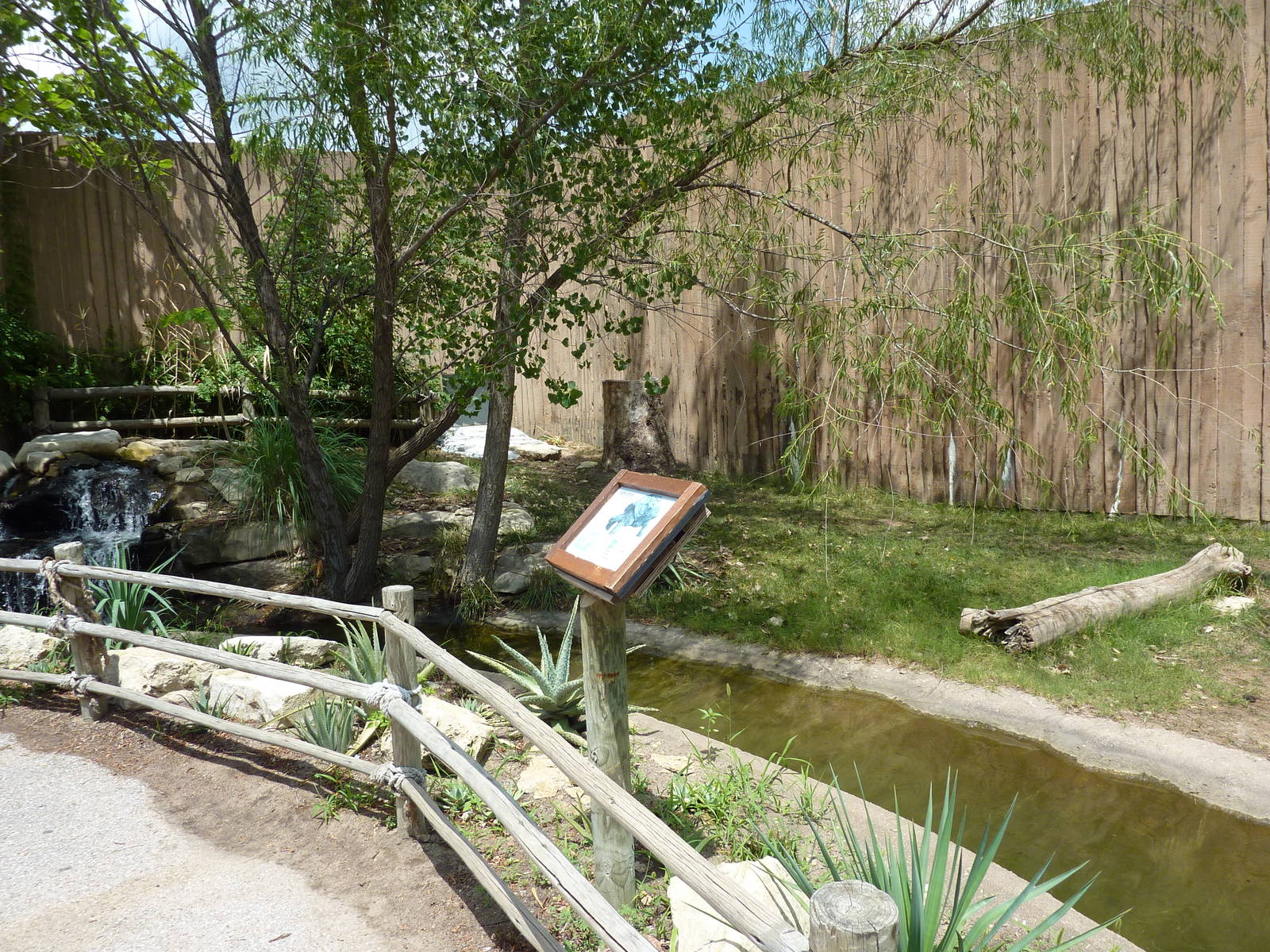 Aldabra Tortoise Enclosure