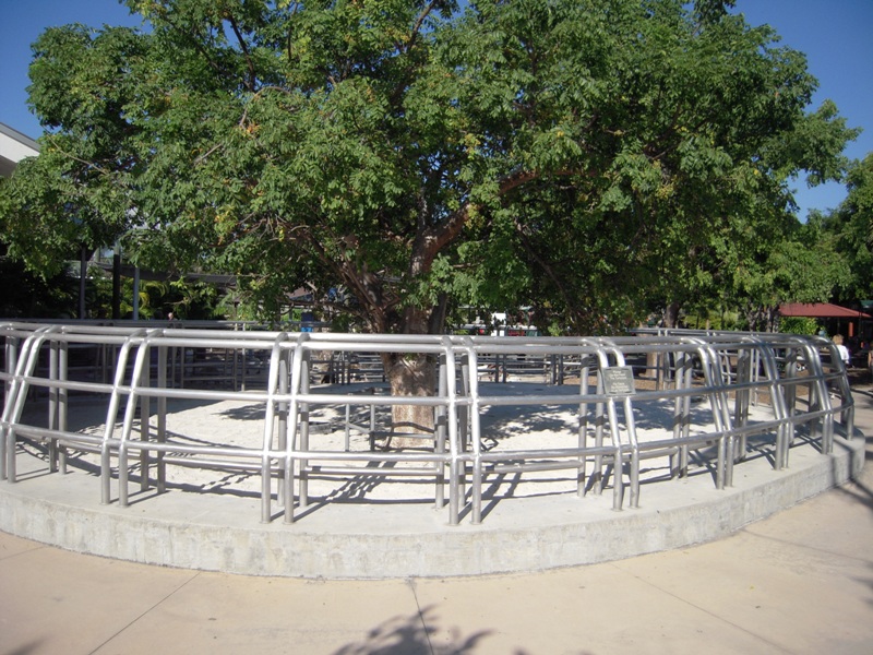 Aldabra Tortoise enclosure