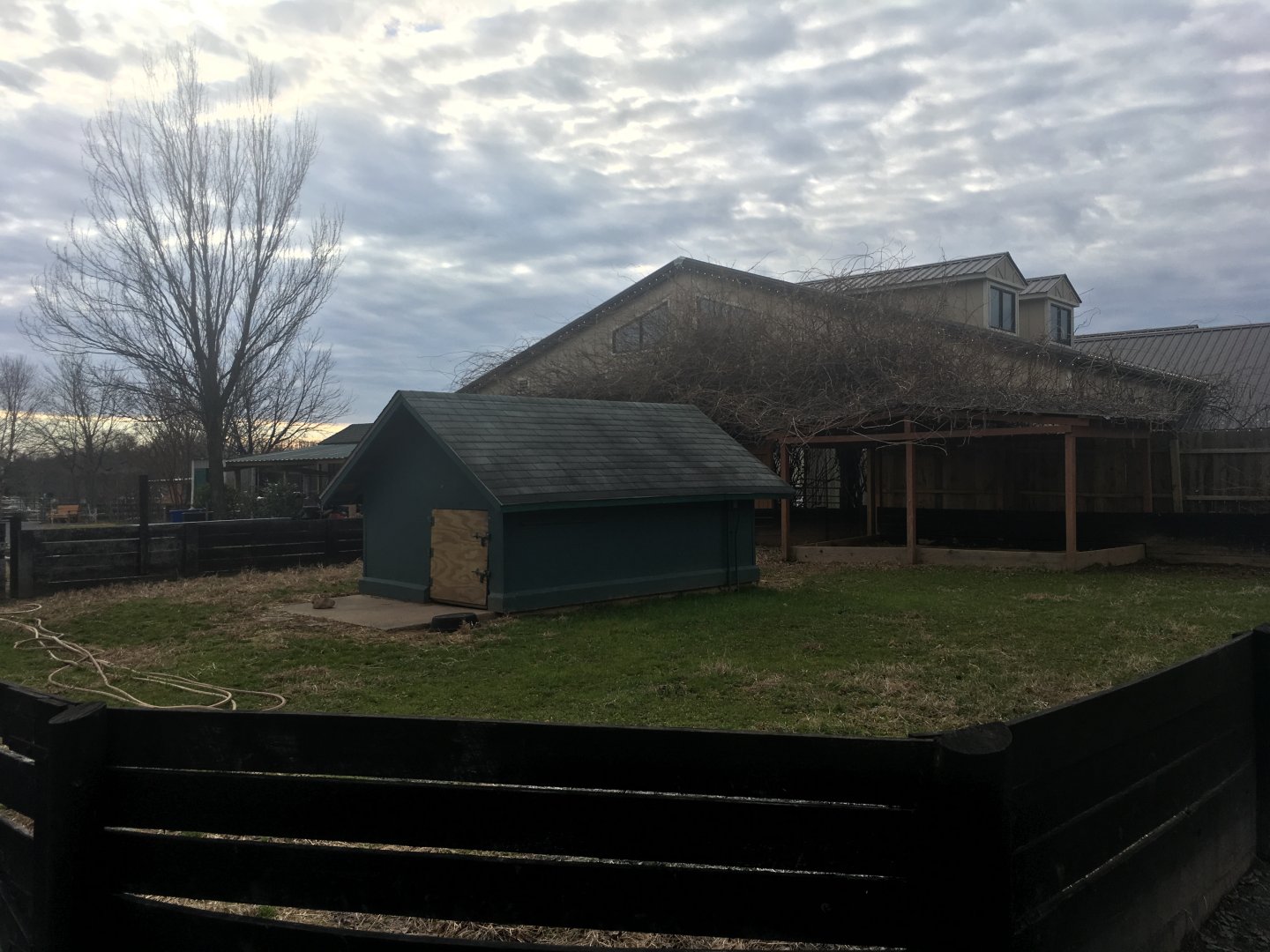 Aldabra Tortoise Enclosure