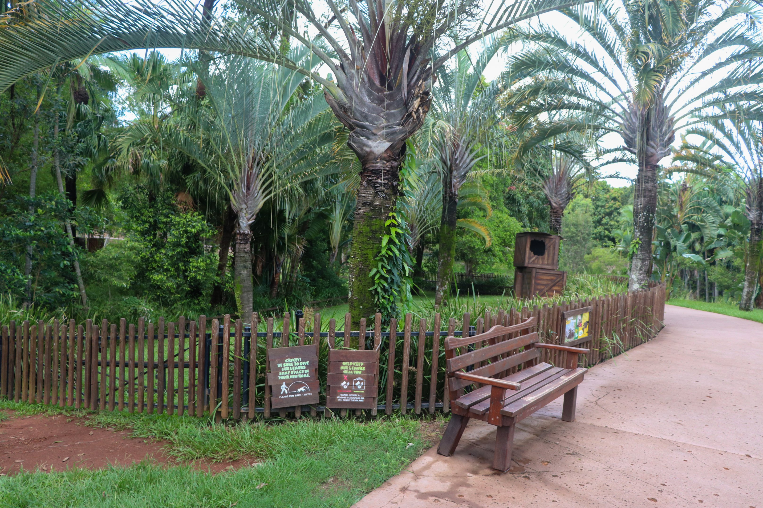 Aldabra Tortoise Enclosure