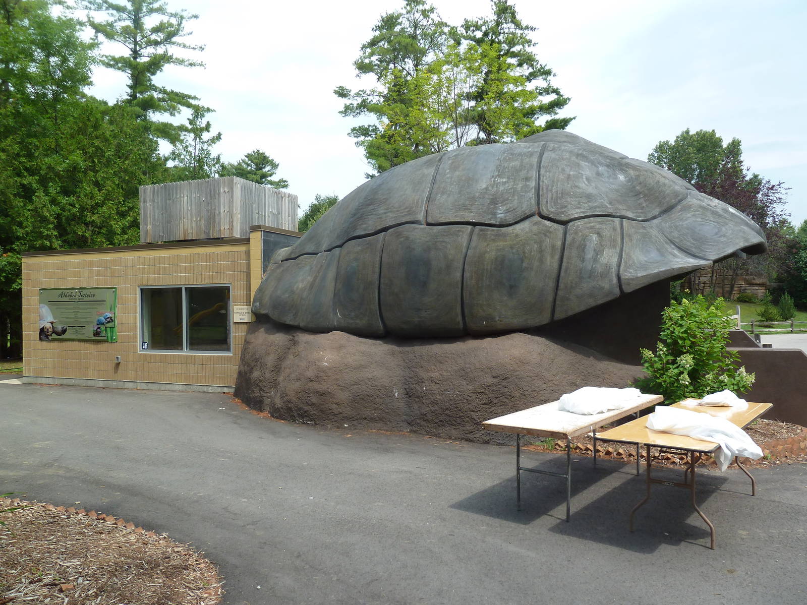 Aldabra Tortoise Exhibit - Indoor Viewing