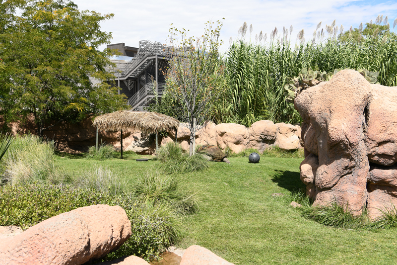 Aldabra tortoise exhibit (penguin building in background)