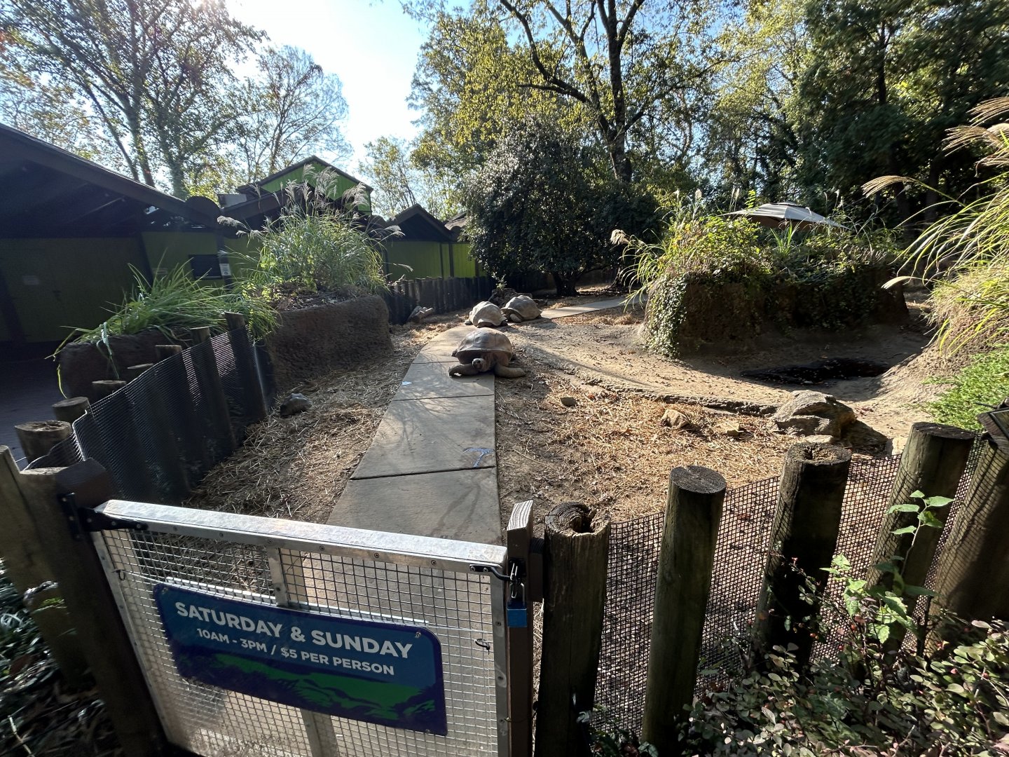 Aldabra Tortoise Exhibit (Walkthrough)