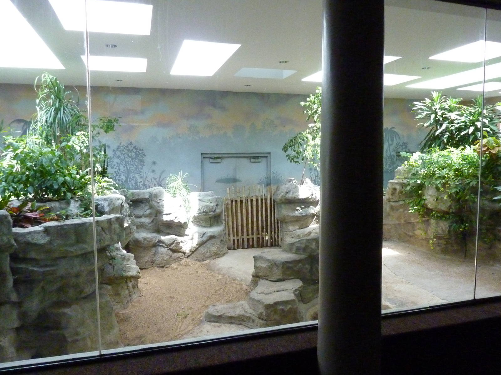 Aldabra Tortoise Exhibit