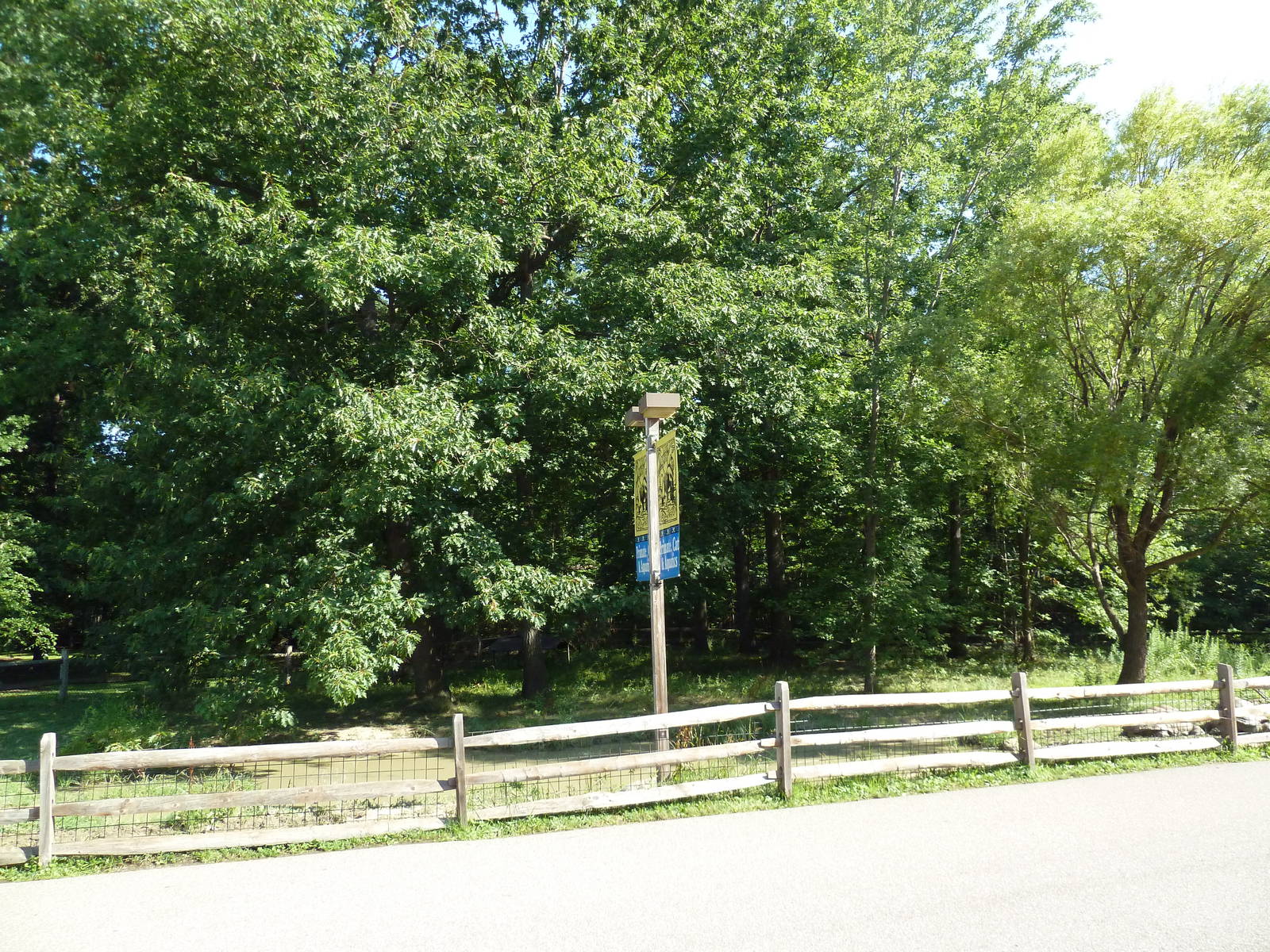 Aldabra Tortoise Exhibit