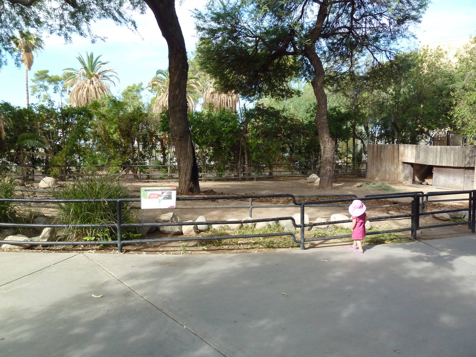 Aldabra Tortoise Exhibit