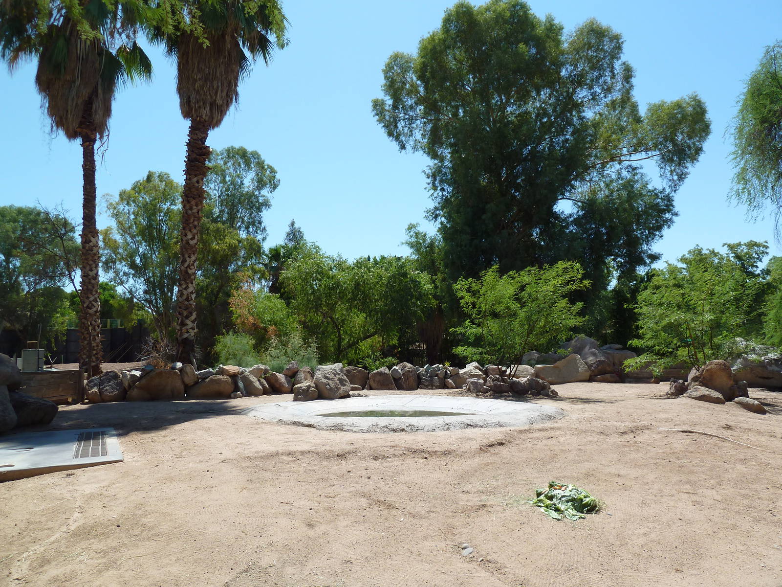 Aldabra Tortoise Exhibit