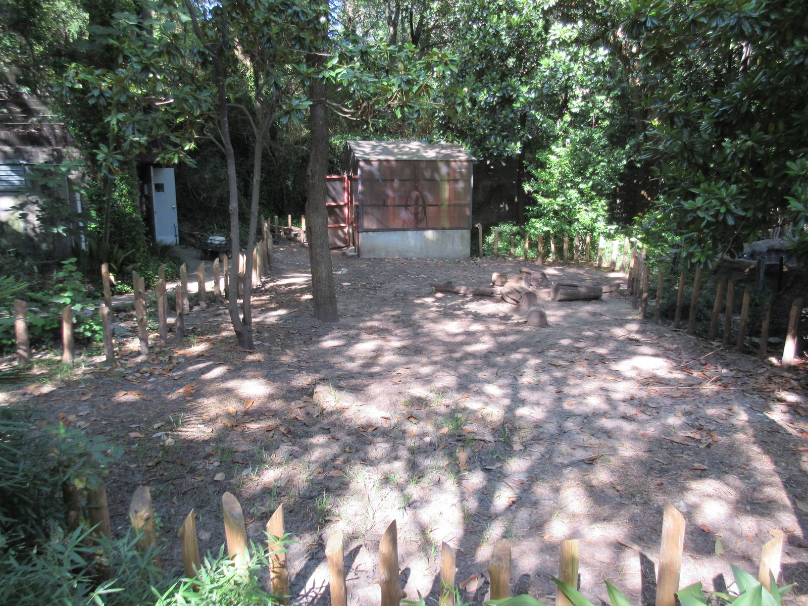 Aldabra Tortoise Exhibit