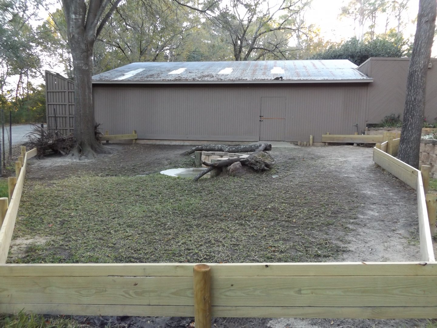 Aldabra Tortoise Exhibit