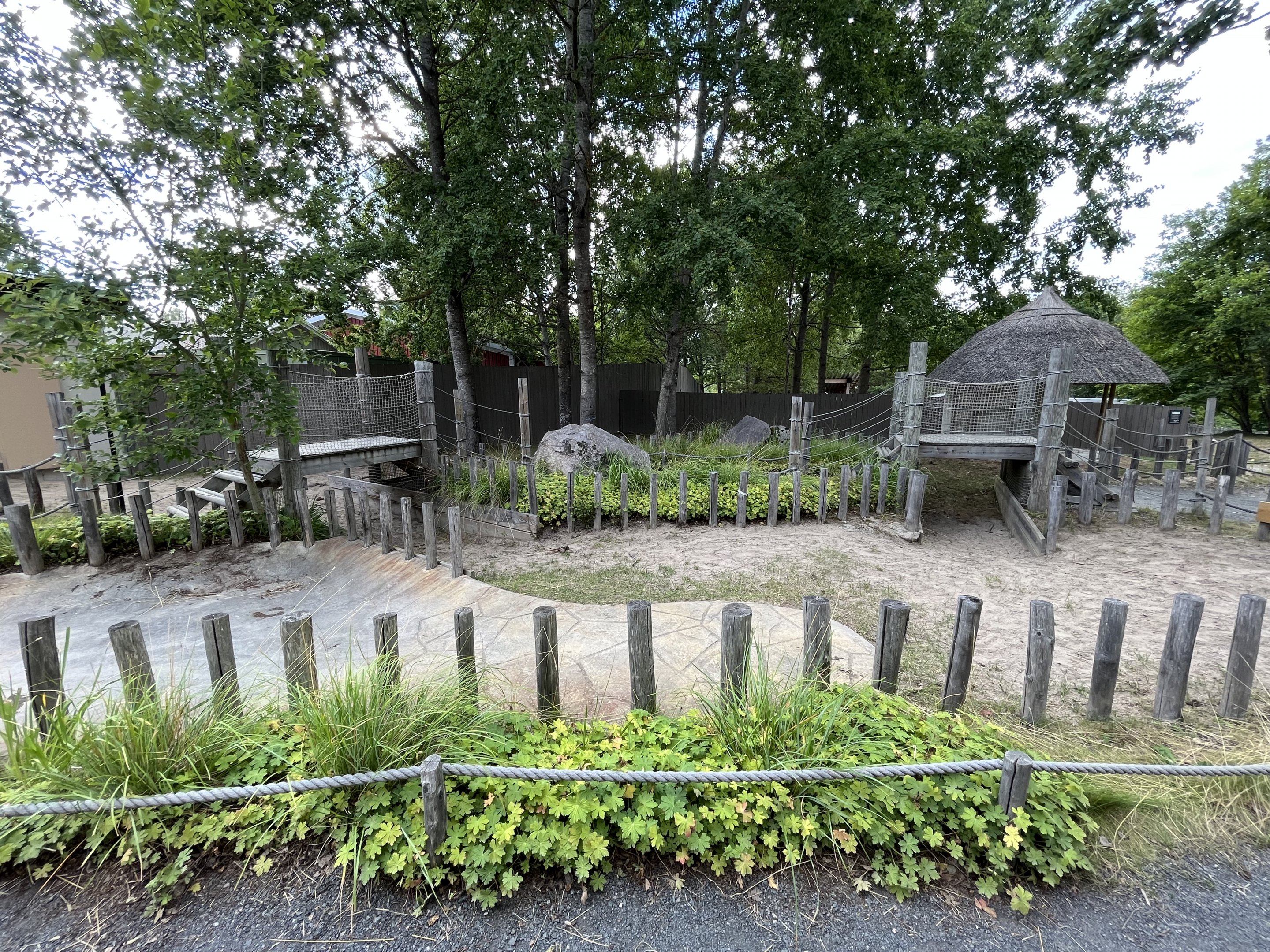 Aldabra Tortoise Exhibit