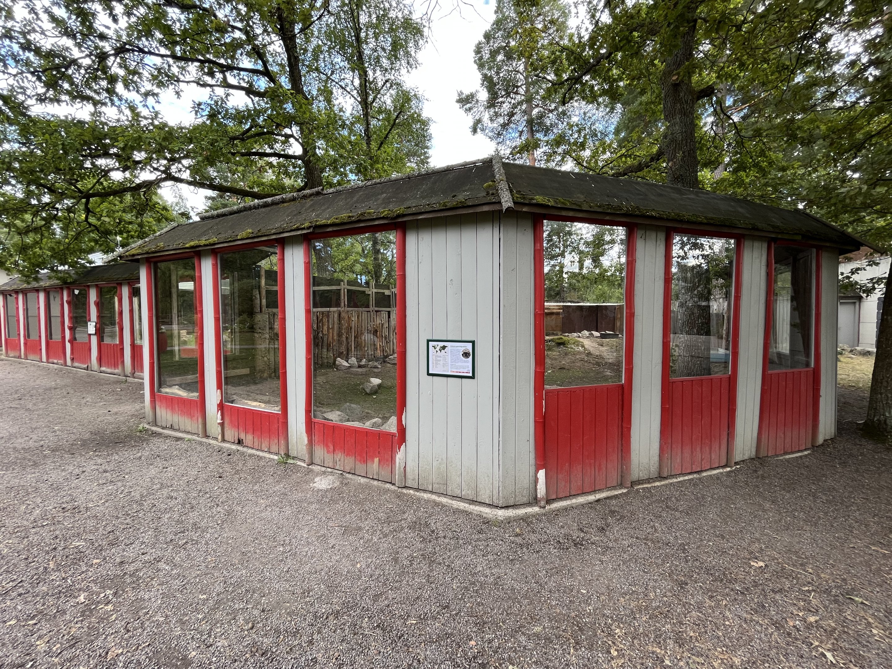 Aldabra Tortoise Exhibit