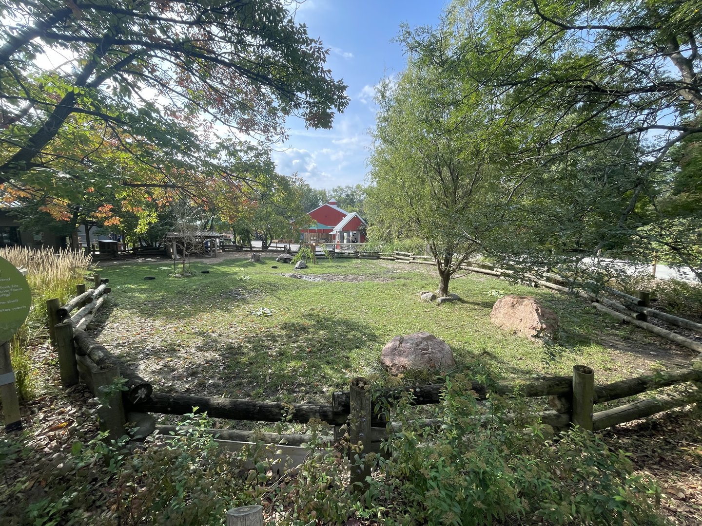 Aldabra Tortoise Exhibit