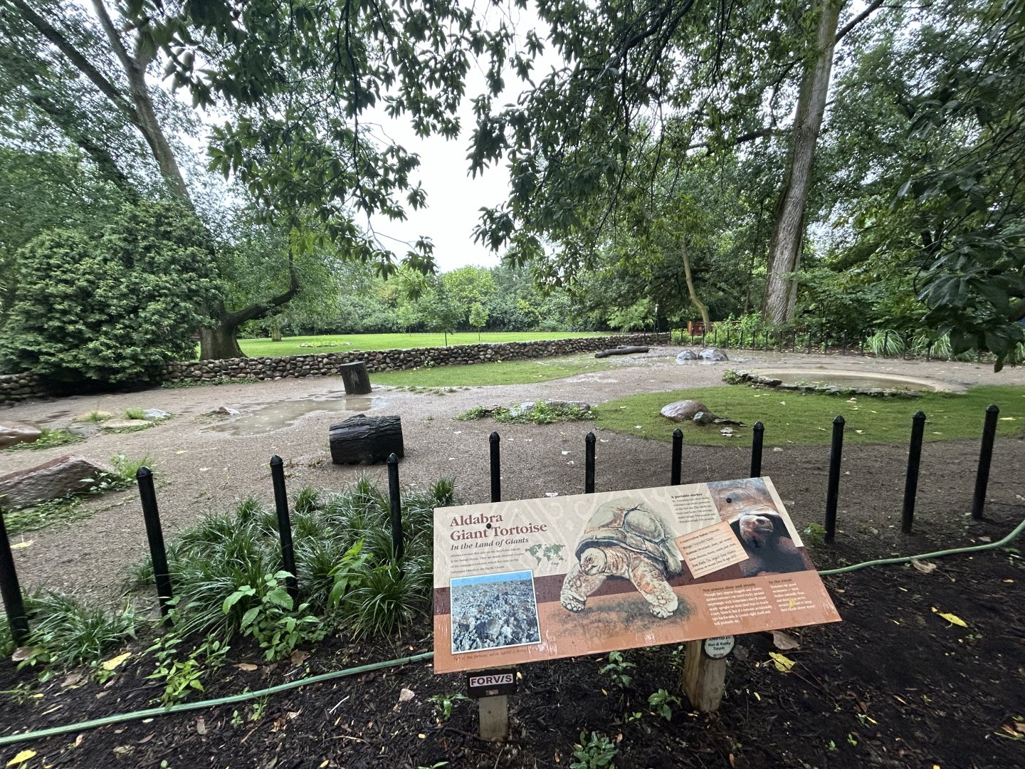 Aldabra Tortoise Exhibit