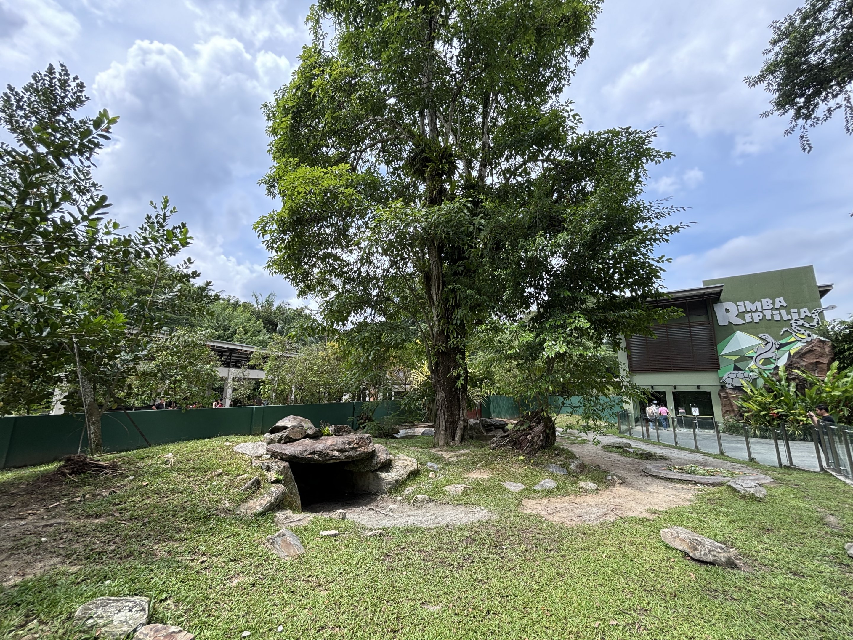 Aldabra Tortoise Exhibit