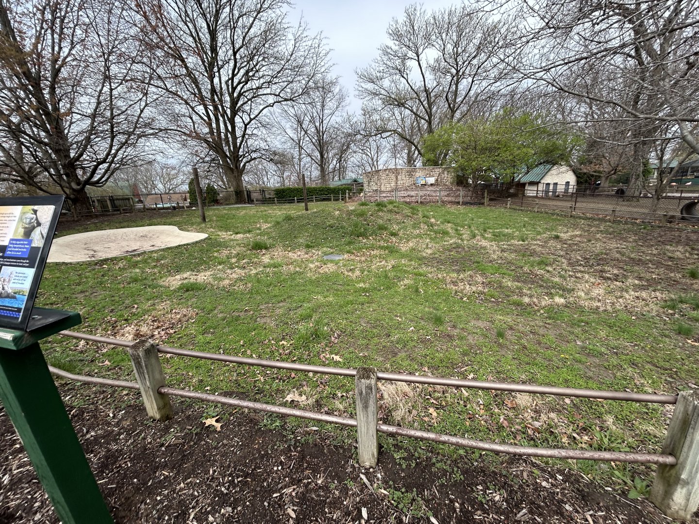 Aldabra Tortoise Exhibit