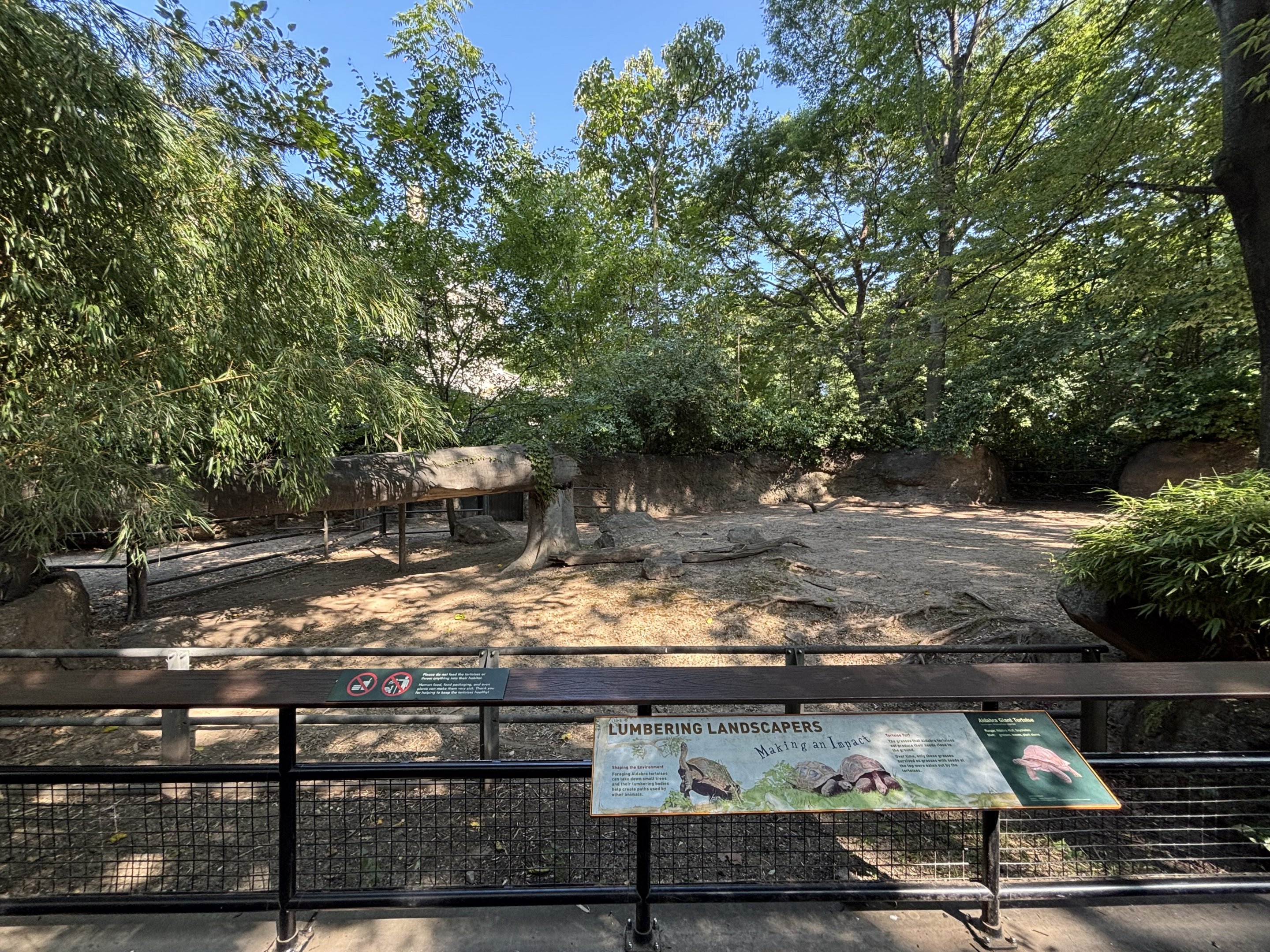 Aldabra Tortoise Exhibit