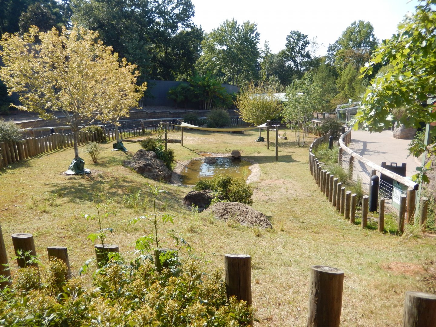 Aldabra Tortoise Habitat