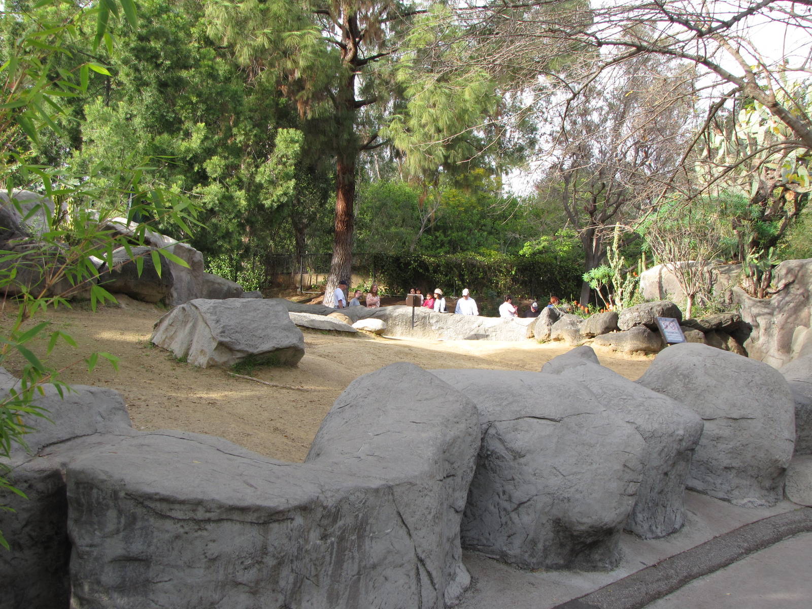 Aldabra Tortoise Habitat