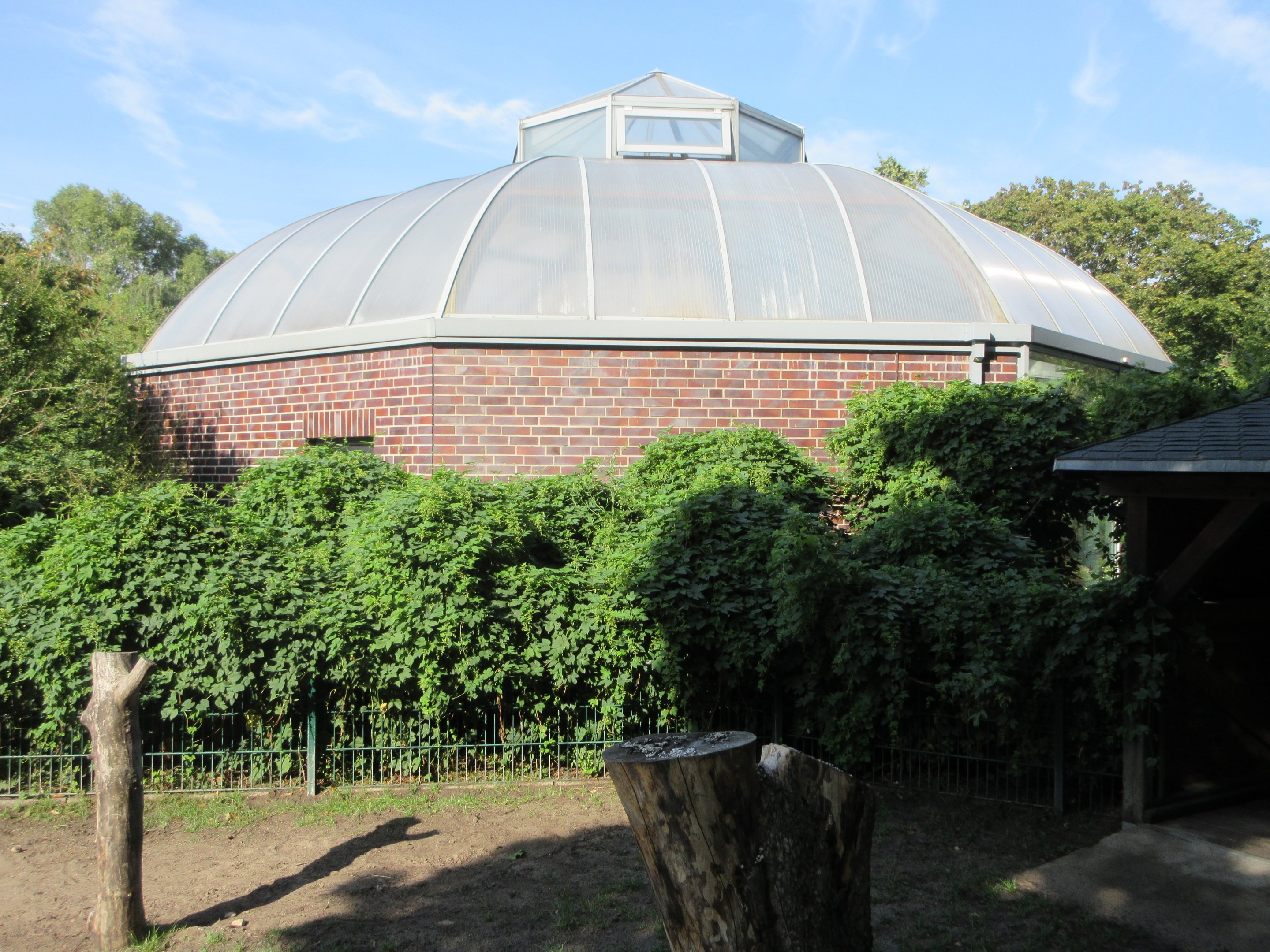 Aldabra Tortoise House